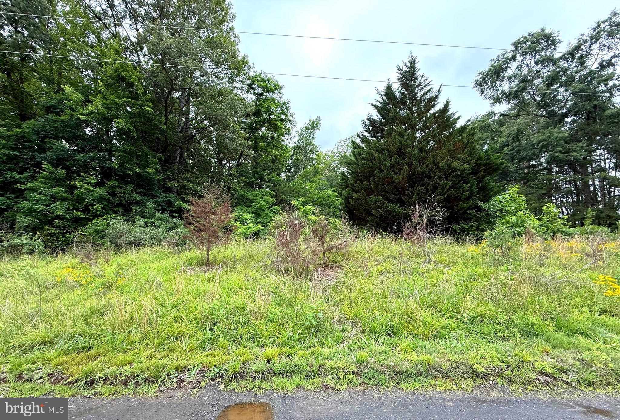 4.002 Acres - wooded and zoned A1, Agricultural.  Lot is a perfect square and located off Hartwood Rd/Bristersburg Rd just one mile from Fauquier County inside Stafford County. Sign is on property and listing agent has marked front property boundary with pink ribbon (used measuring wheel and is approximate location). Dominion Soil Science, Inc. did a soil sample/perk test in September 2017.  It was evaluated/approved for a three bedroom perk and gravity fed septic system.  The contact info for Dominion Soil Science, Inc is 13282 Sillamon Rd Goldvien, VA 22720.  You may reach out to them to make sure all information is accurate. Documents sellers have has been uploaded in the document section of the listing.