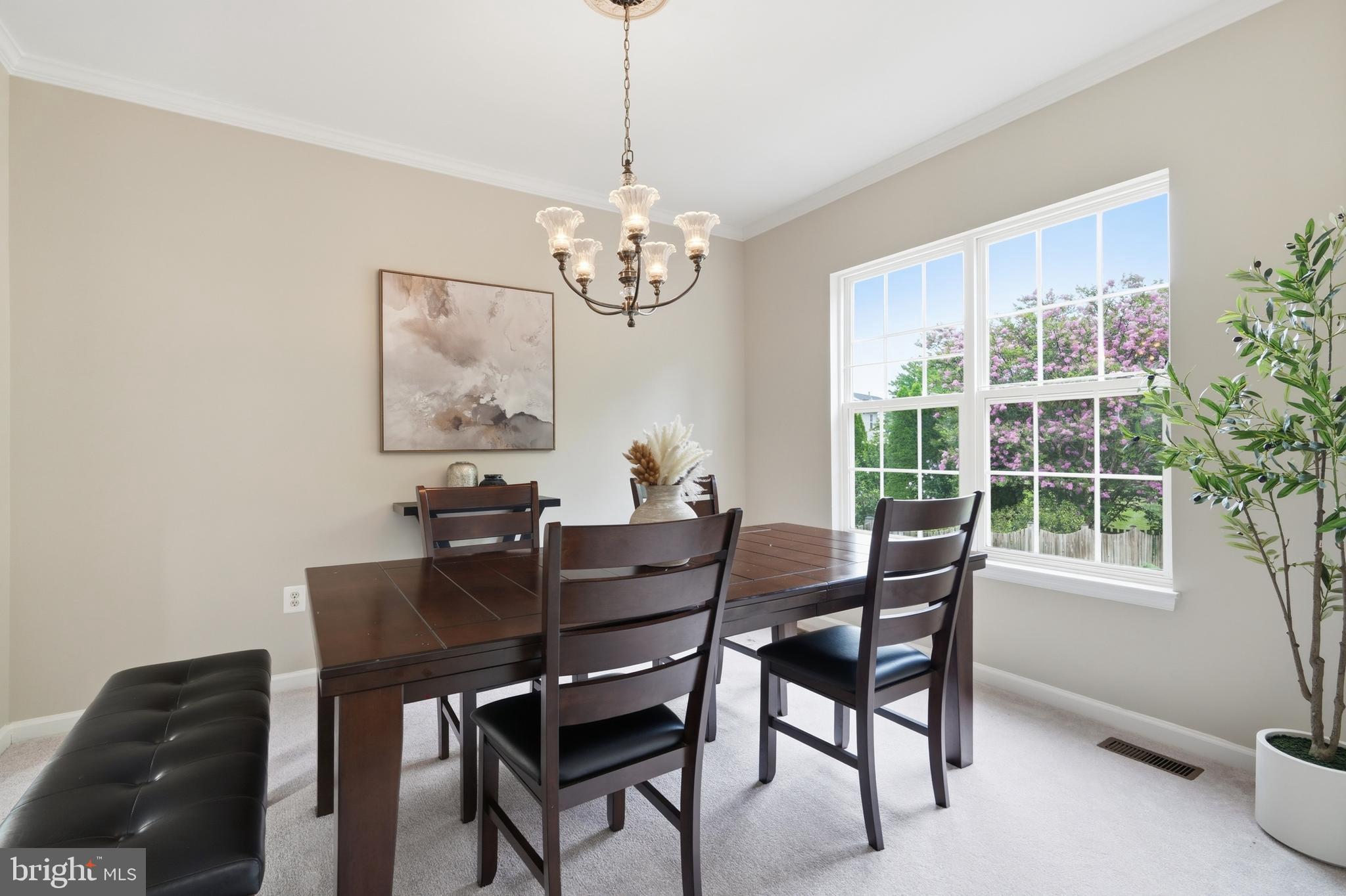 BROAD RUN OAKS - Residential