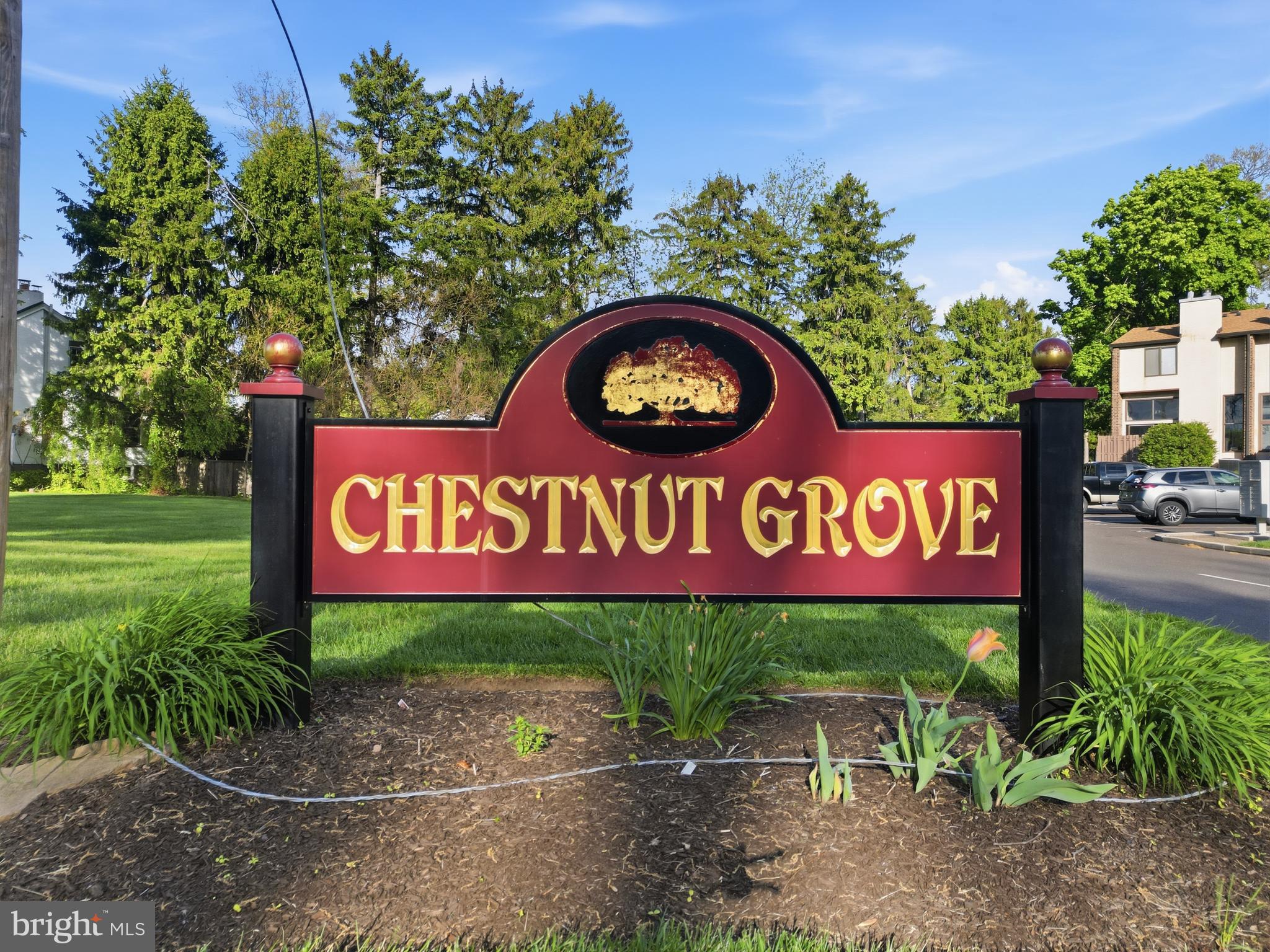 CHESTNUT GROVE - Residential