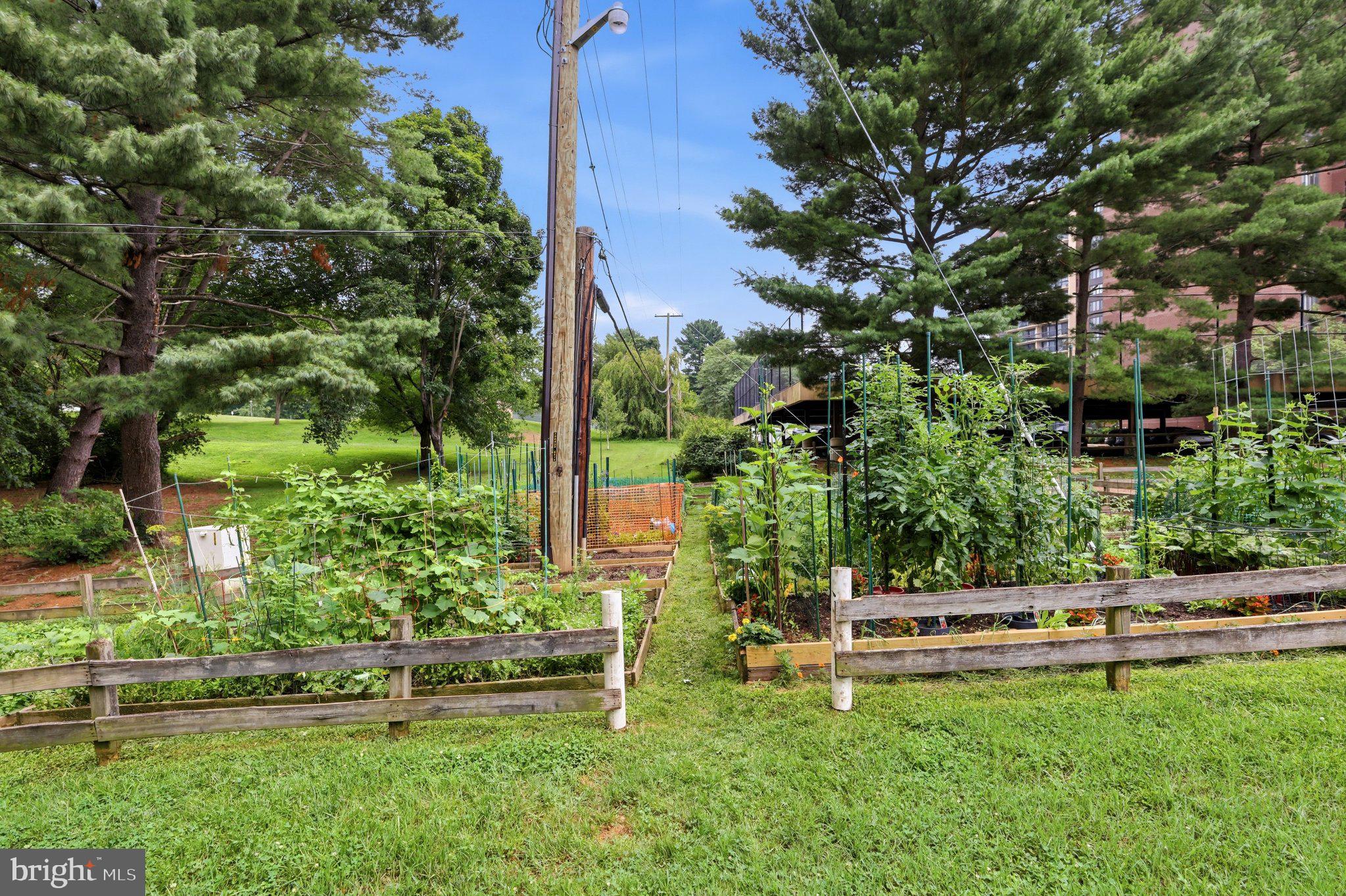 SPRING LAKE GARDEN CONDOMINIUM - Residential