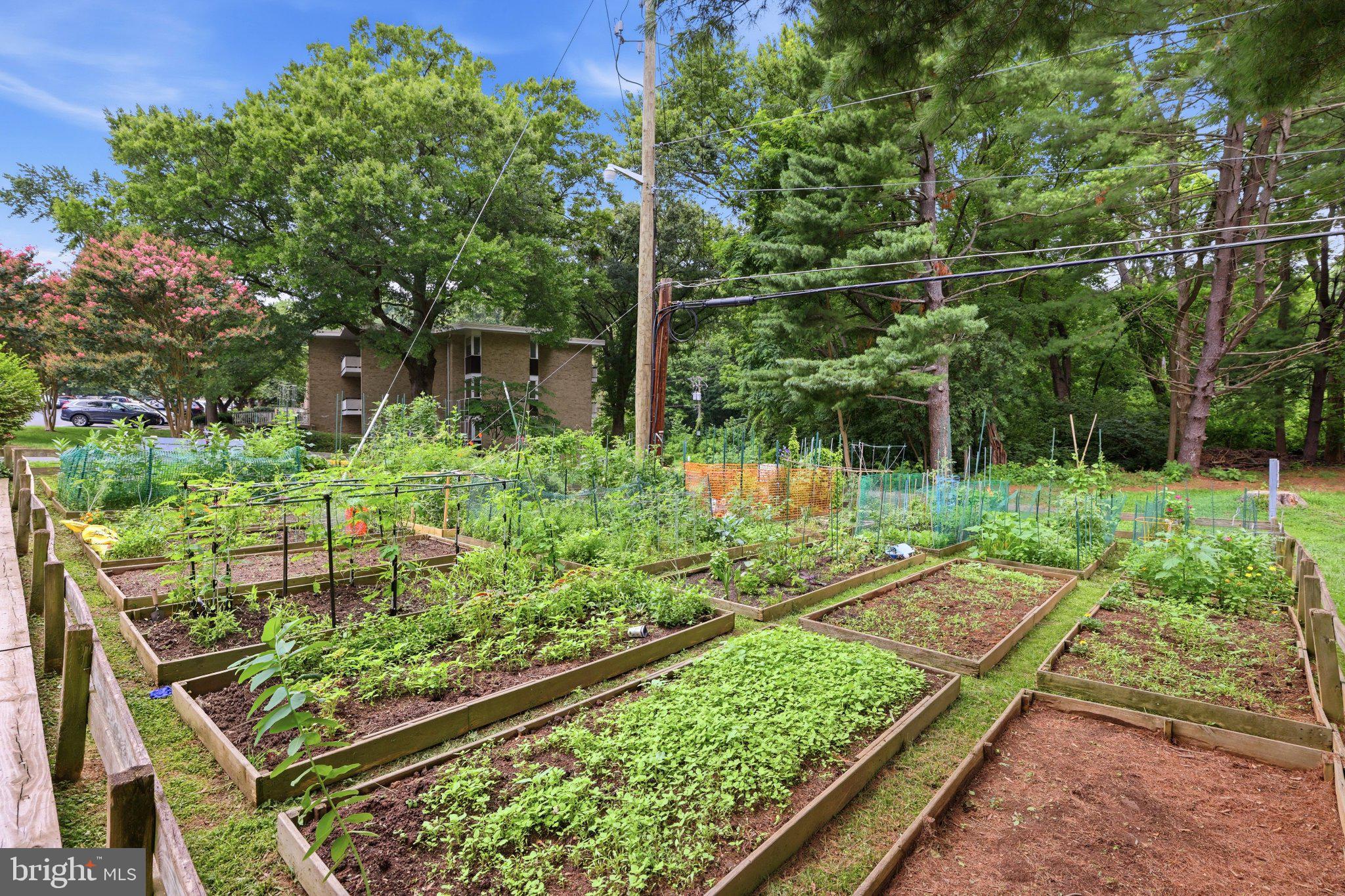 SPRING LAKE GARDEN CONDOMINIUM - Residential