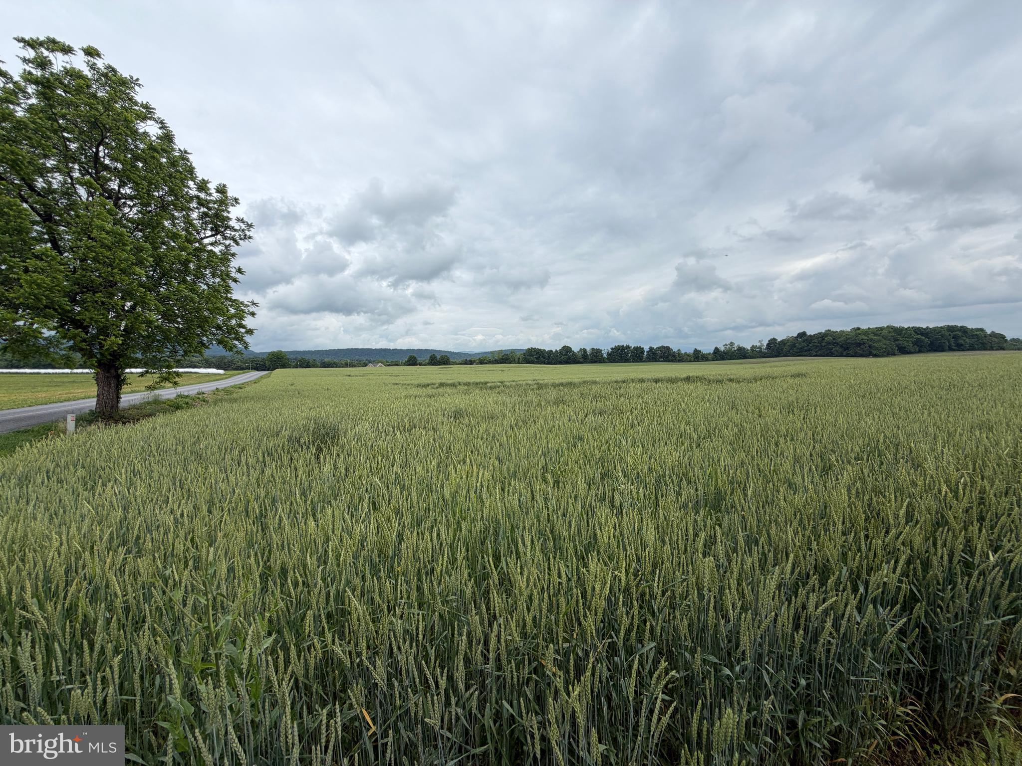 NONE AVAILABLE - Farm