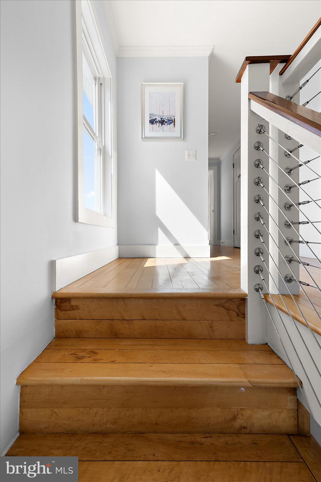 TILGHMAN ISLAND - Residential