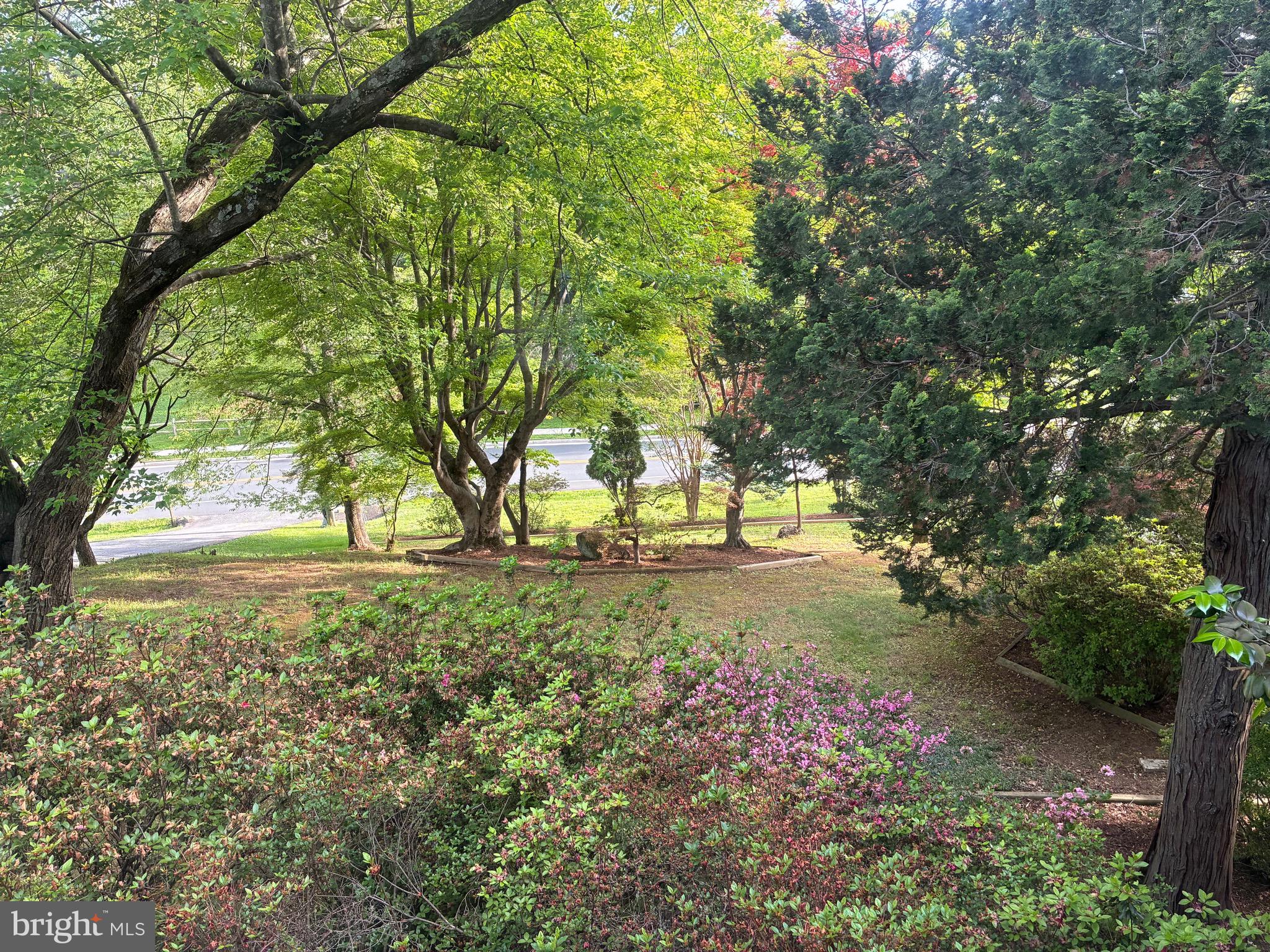 CHESTERBROOK WOODS - Residential
