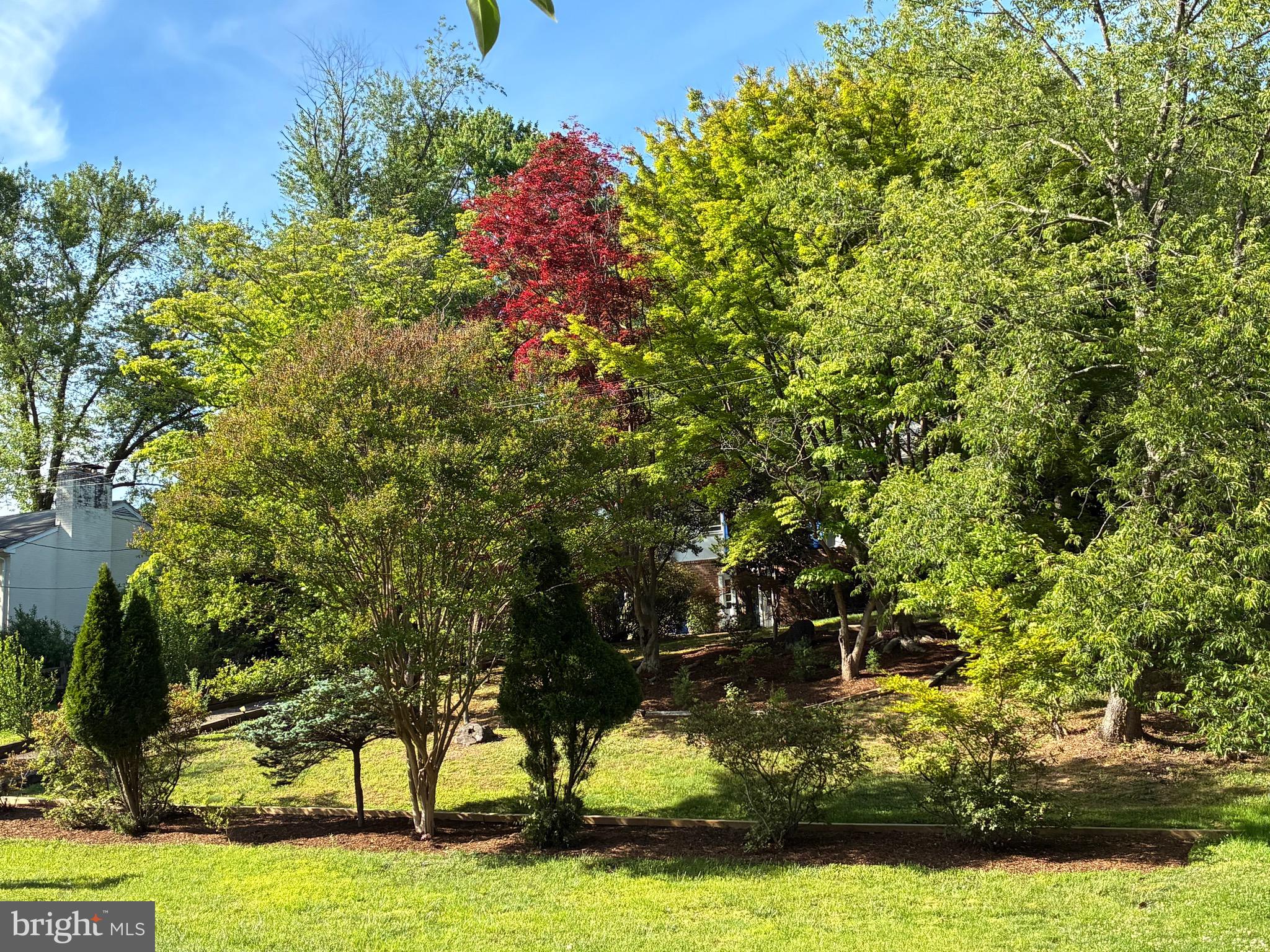 CHESTERBROOK WOODS - Residential