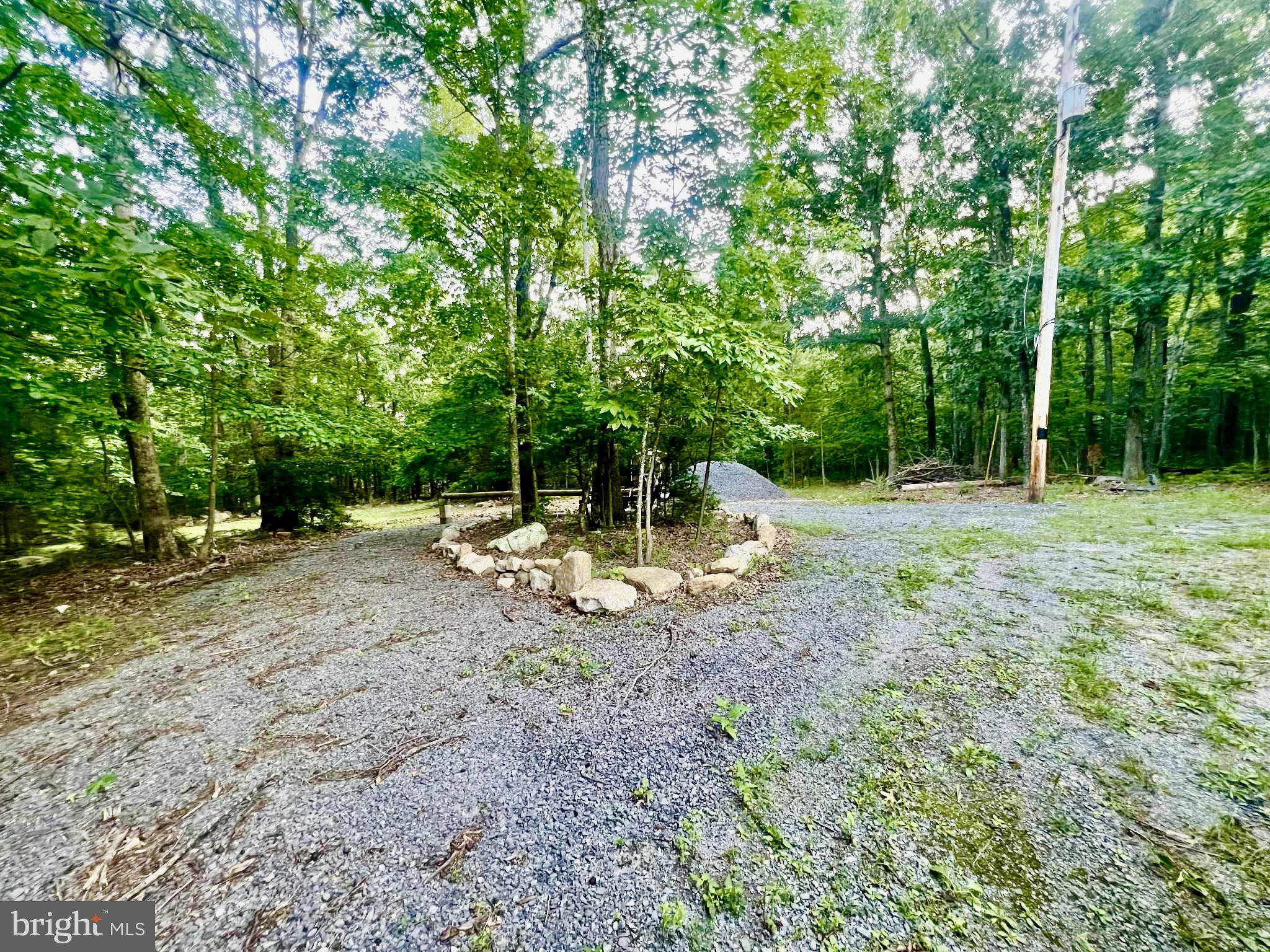 SHEN FOREST - Land