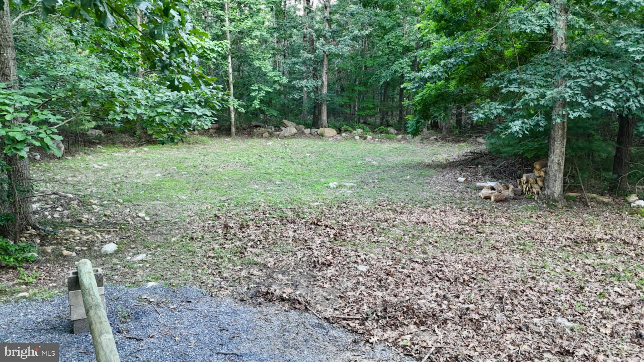 SHEN FOREST - Land
