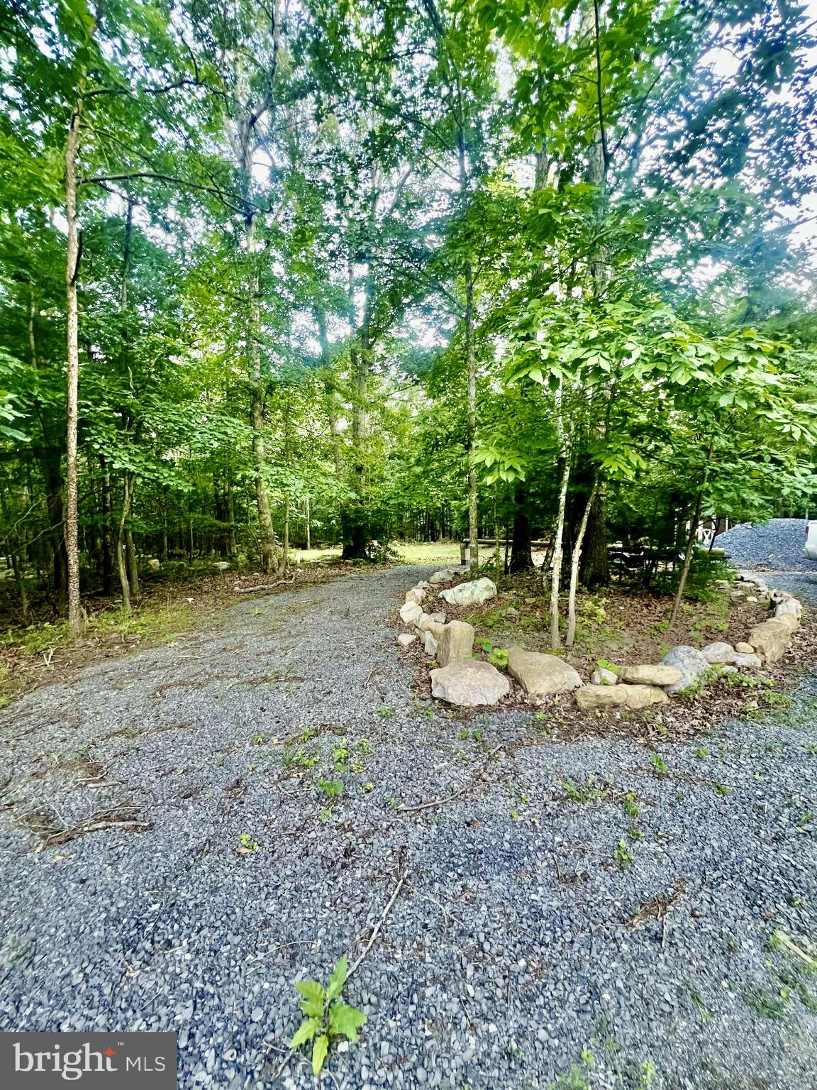 SHEN FOREST - Land