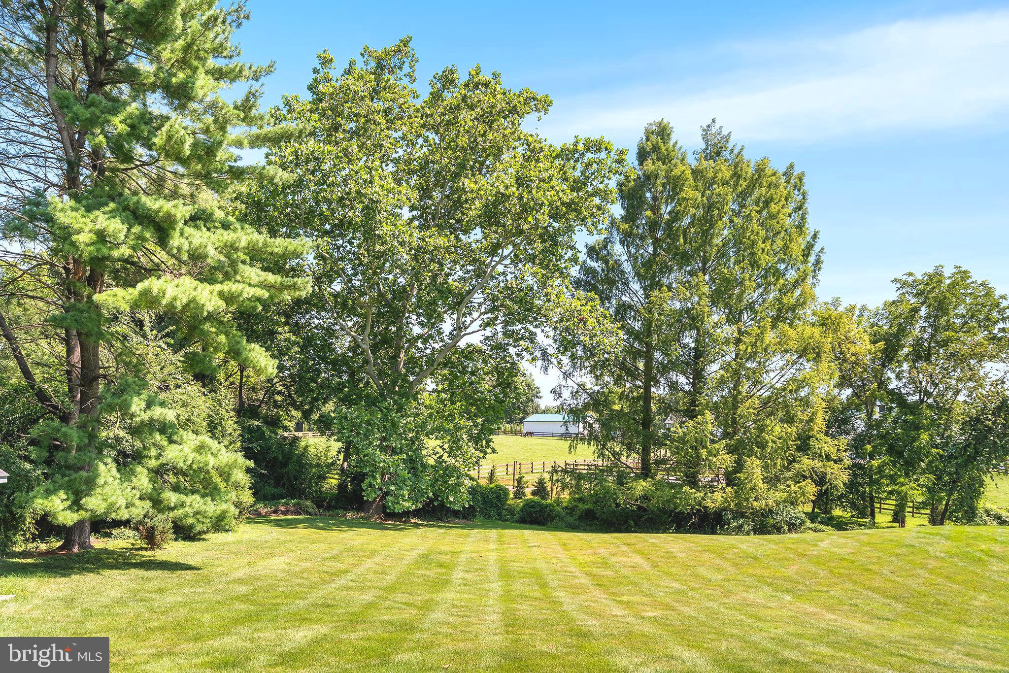SHADOW OAK - Residential