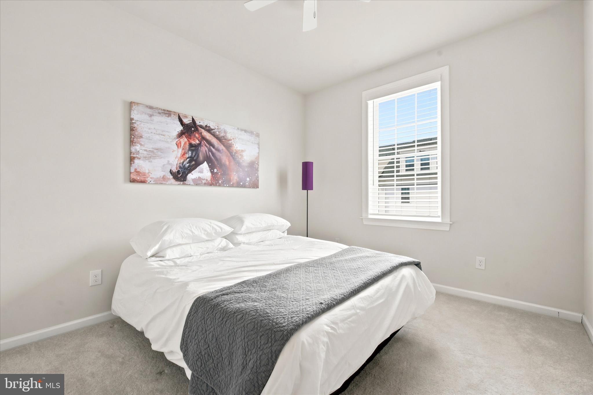 STEELPOINTE - Residential
