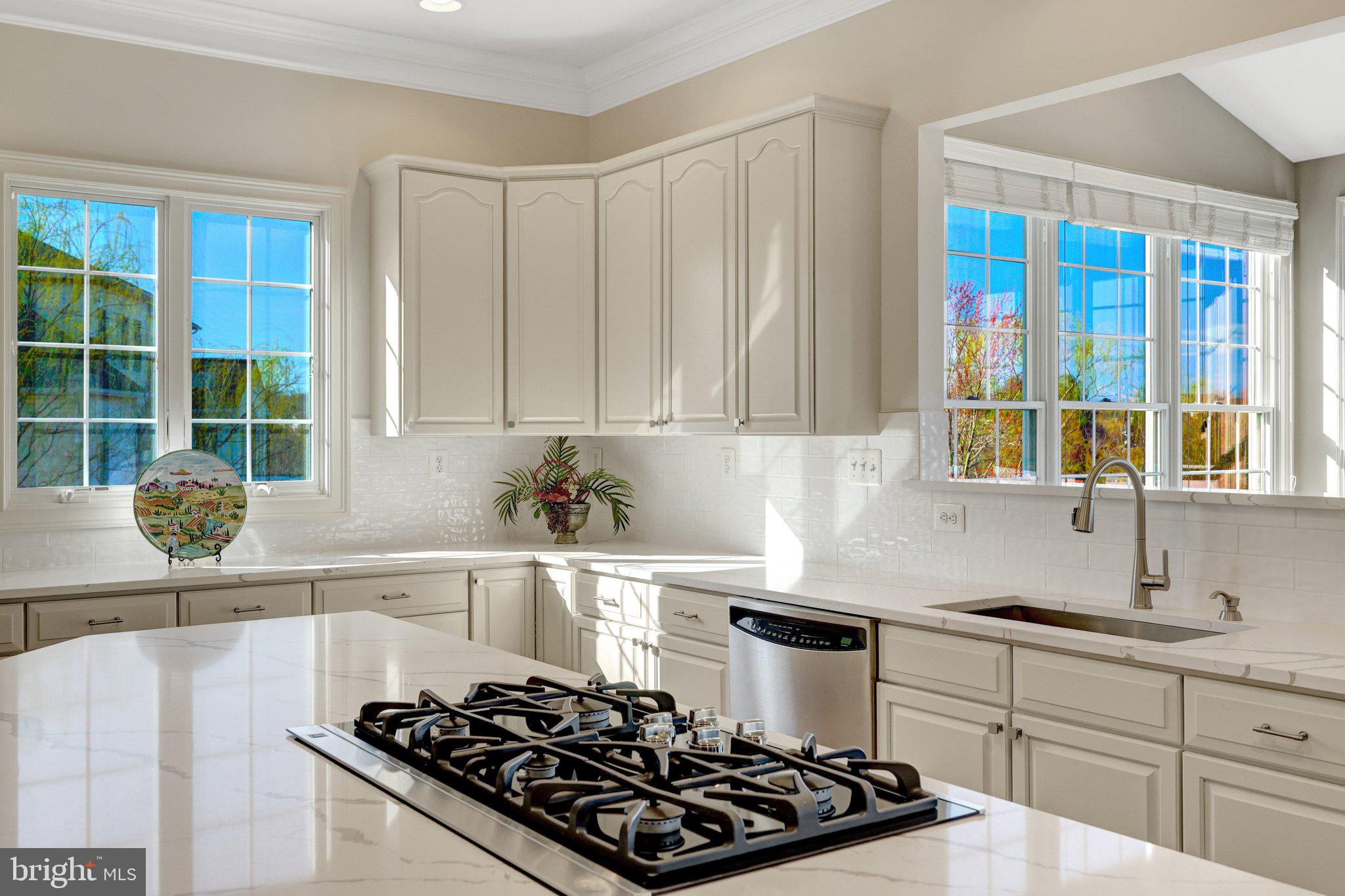 LOUDOUN VALLEY ESTATES - Residential