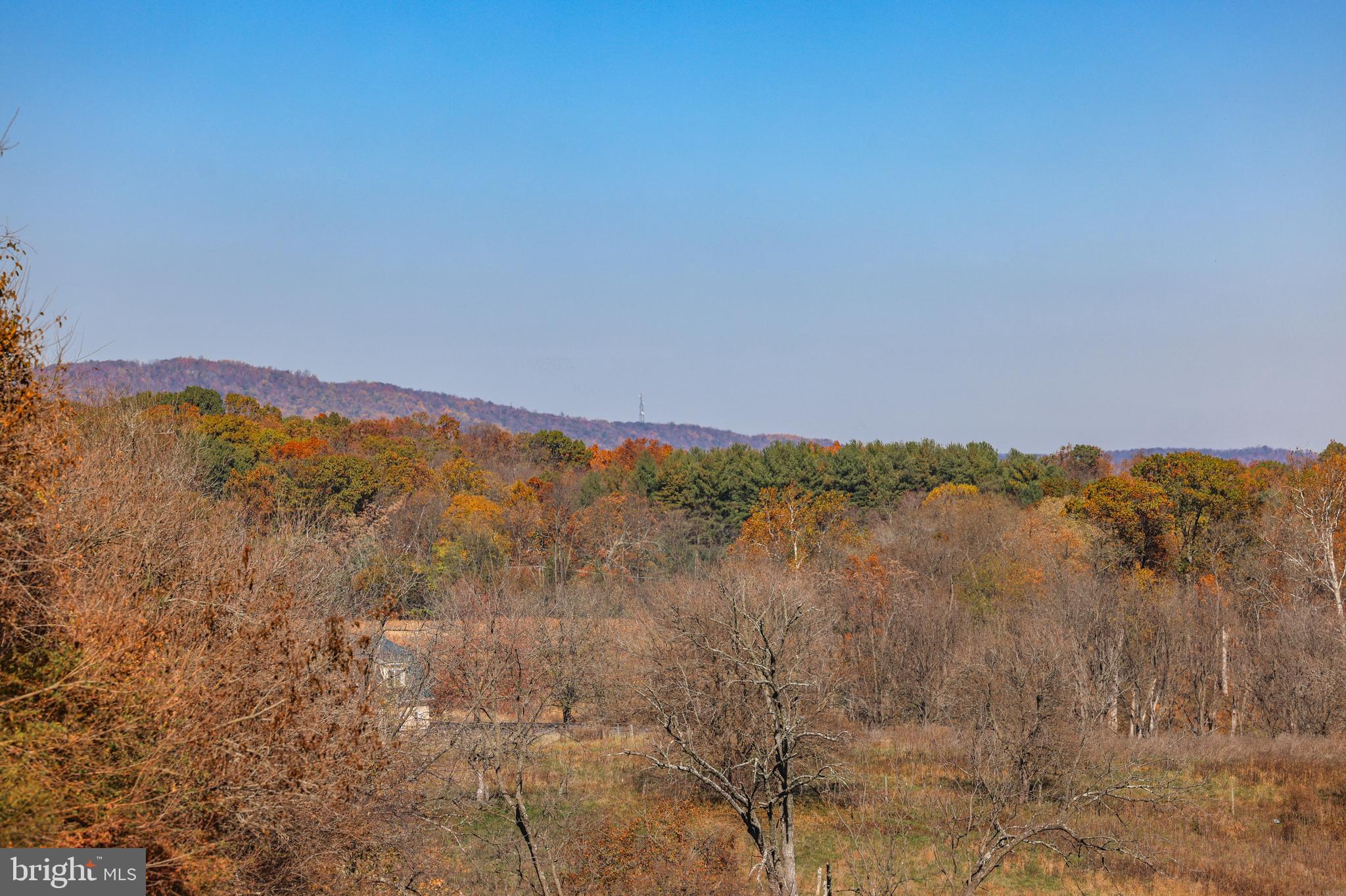 CATOCTIN SPRINGS - Residential