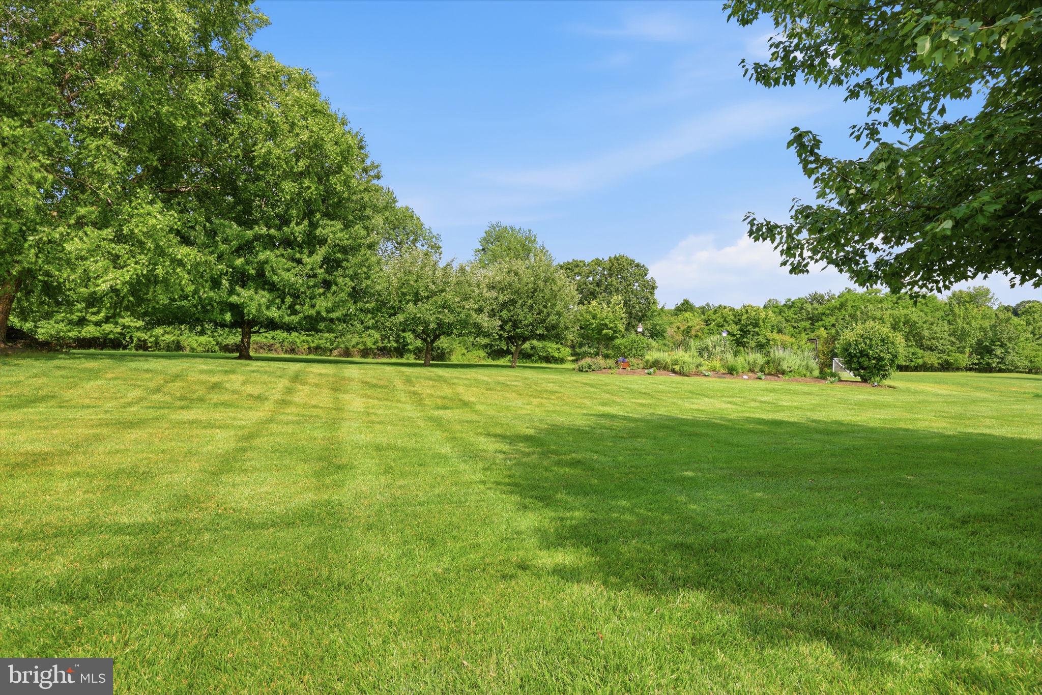 WOODS OF SAXONY - Residential