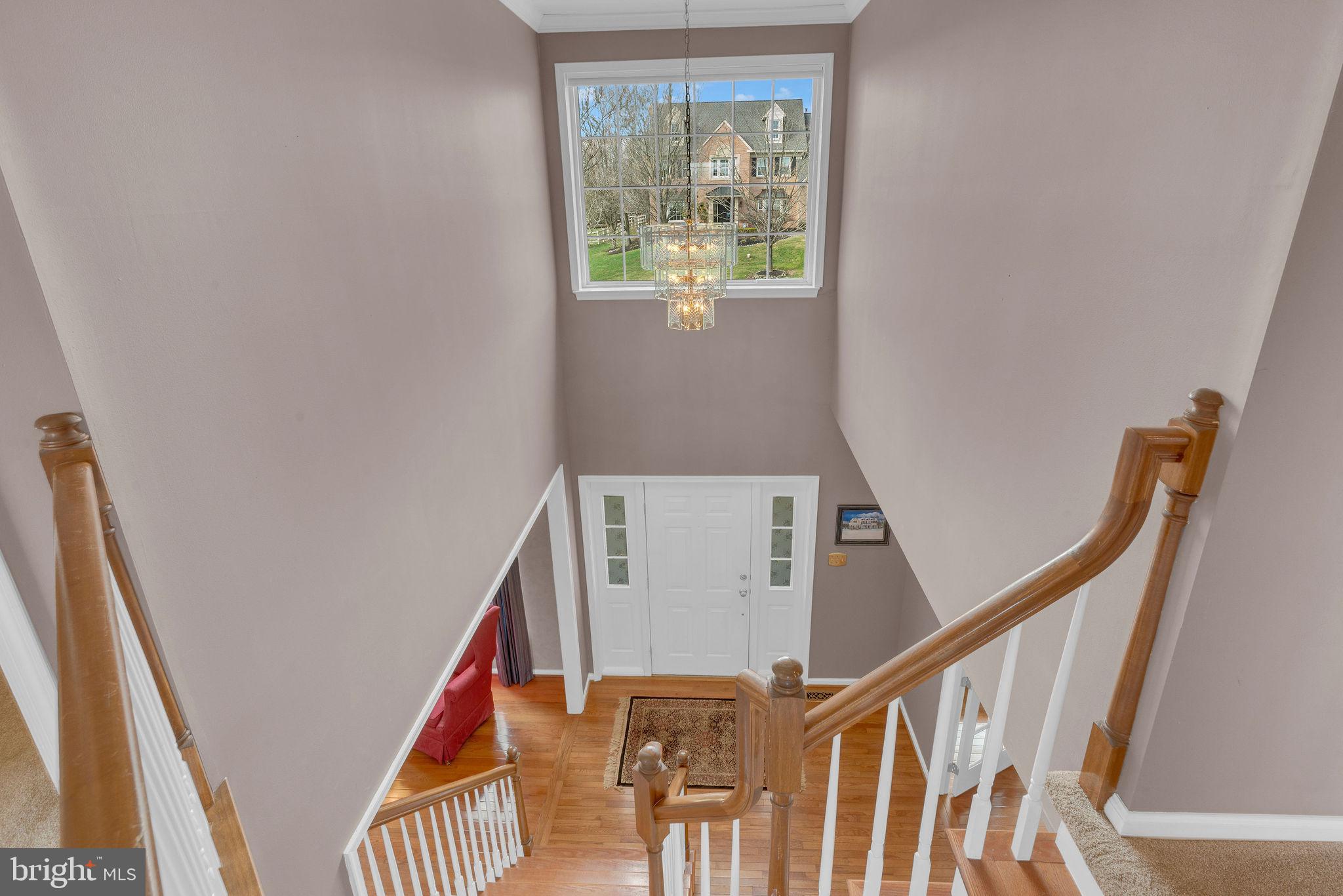 DOYLESTOWN LEA - Residential