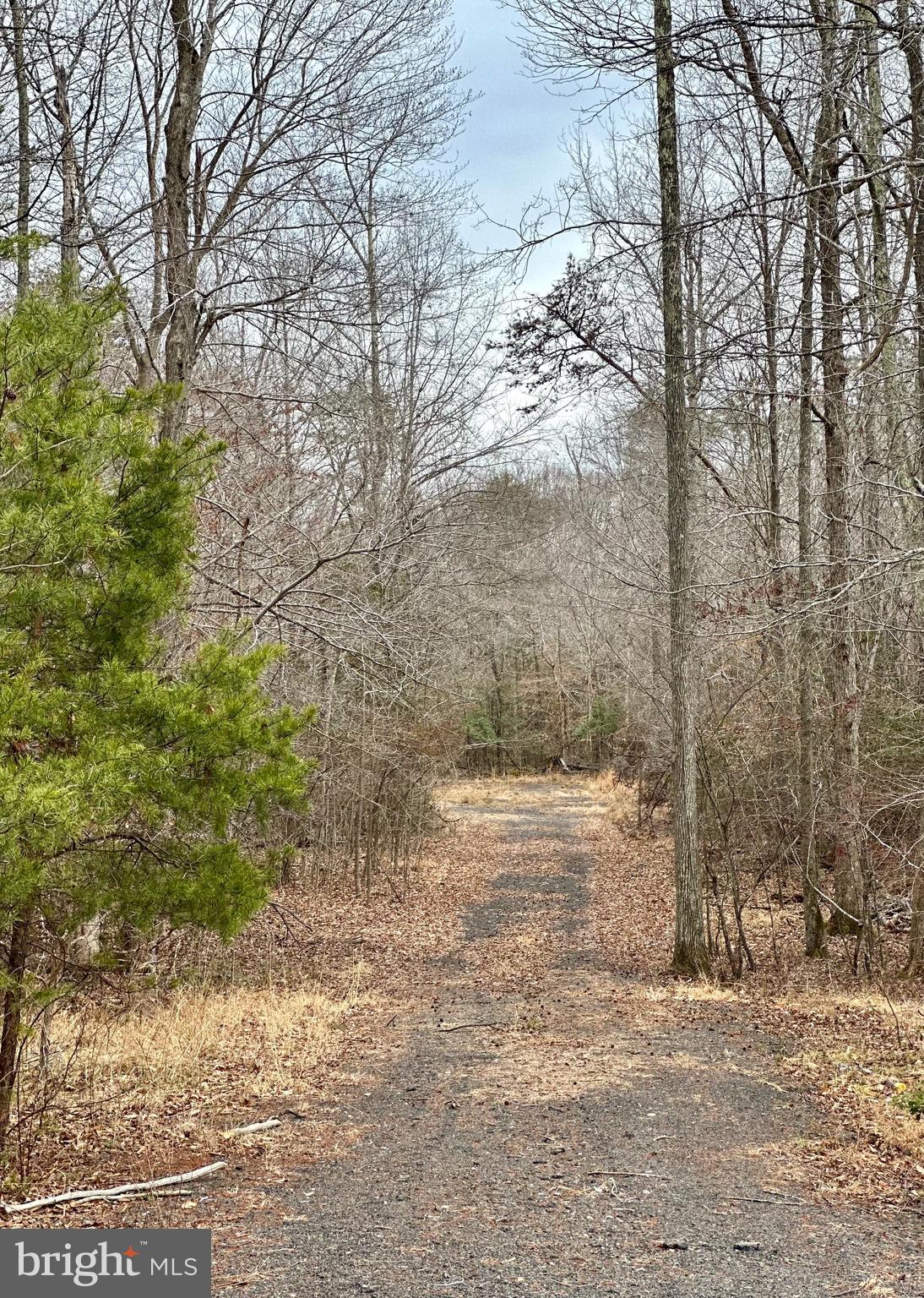 Welcome to 9680 Adams Willett Rd, in Nanjemoy, MD. Here you will find just over 10 acres that backs up to a creek. This property does have an approved perc, a recorded site plan, and the driveway has been widened per the county to allow the perc test to be completed. Part of the trees on the property have been cleared as well. Bring your vision board home to reality!