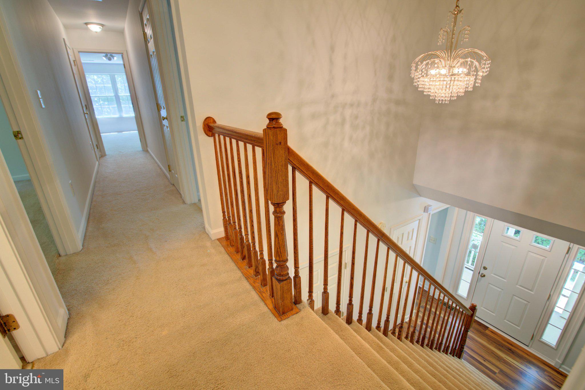 CANNON HILL HEIGHTS - Residential