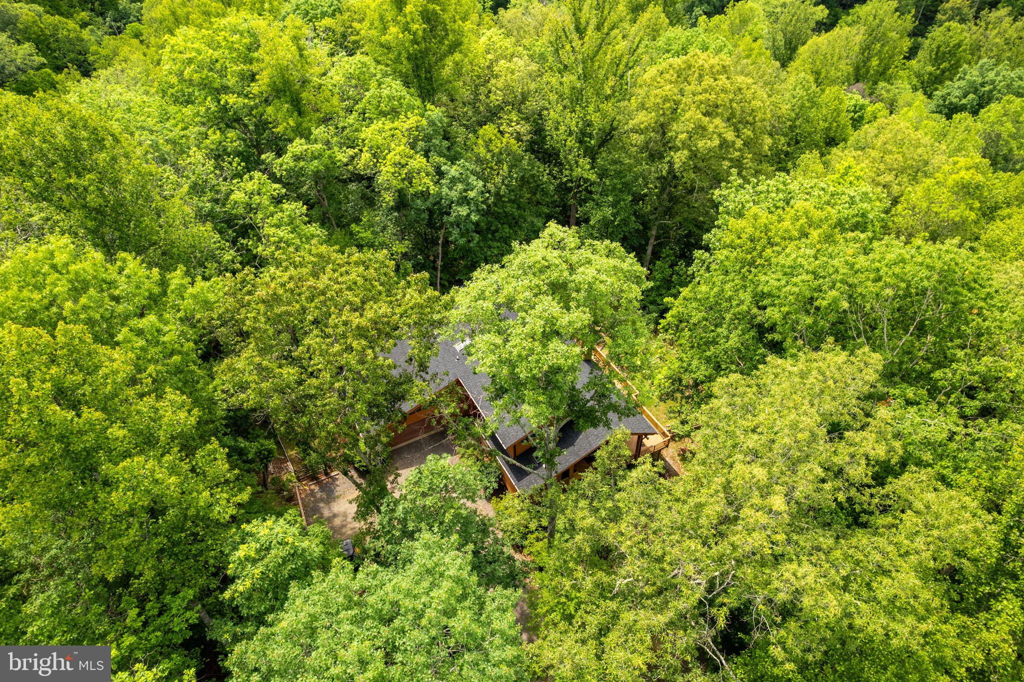 BEAR'S DEN - Residential