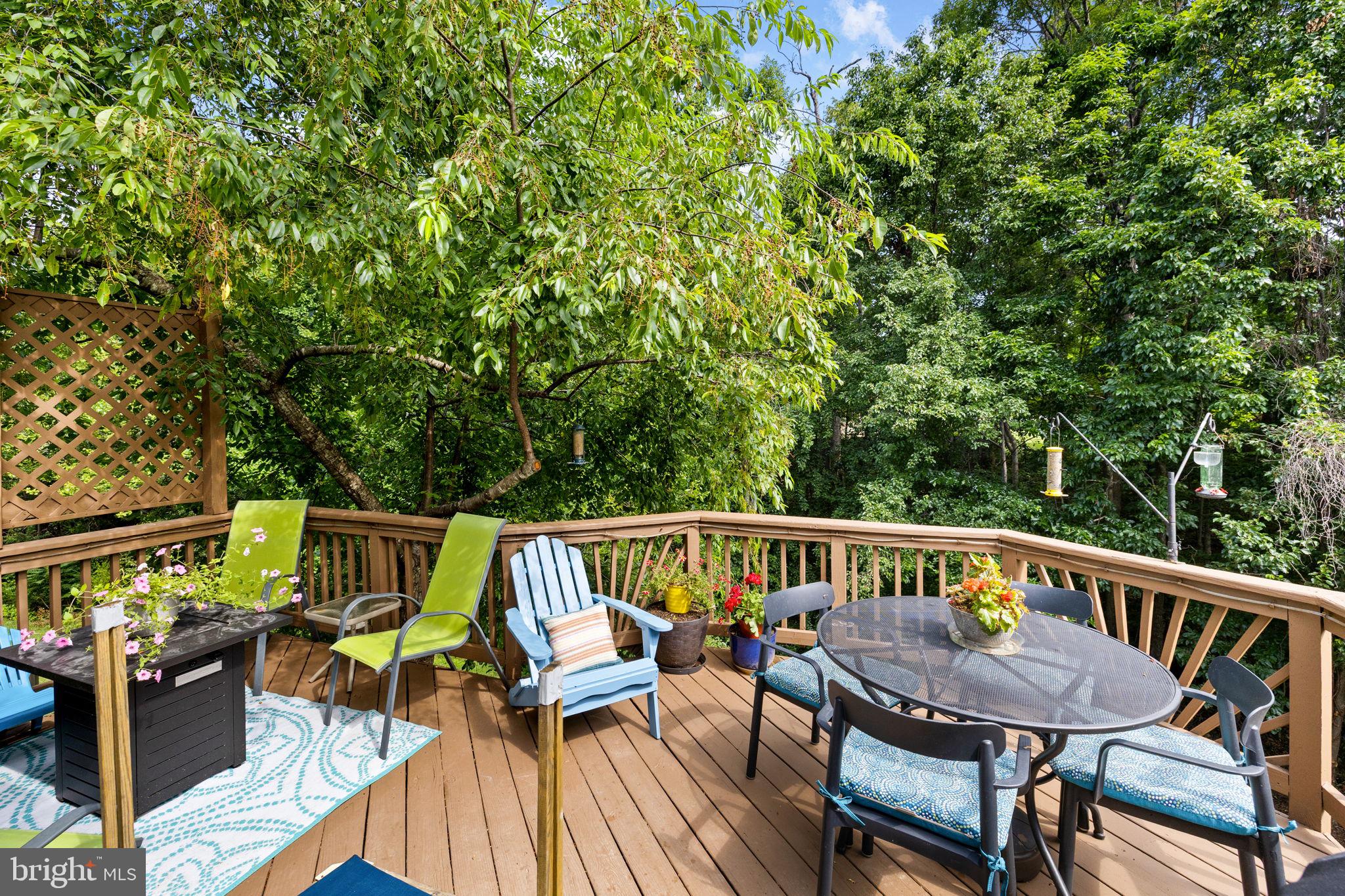 DOMINION FOREST - Residential