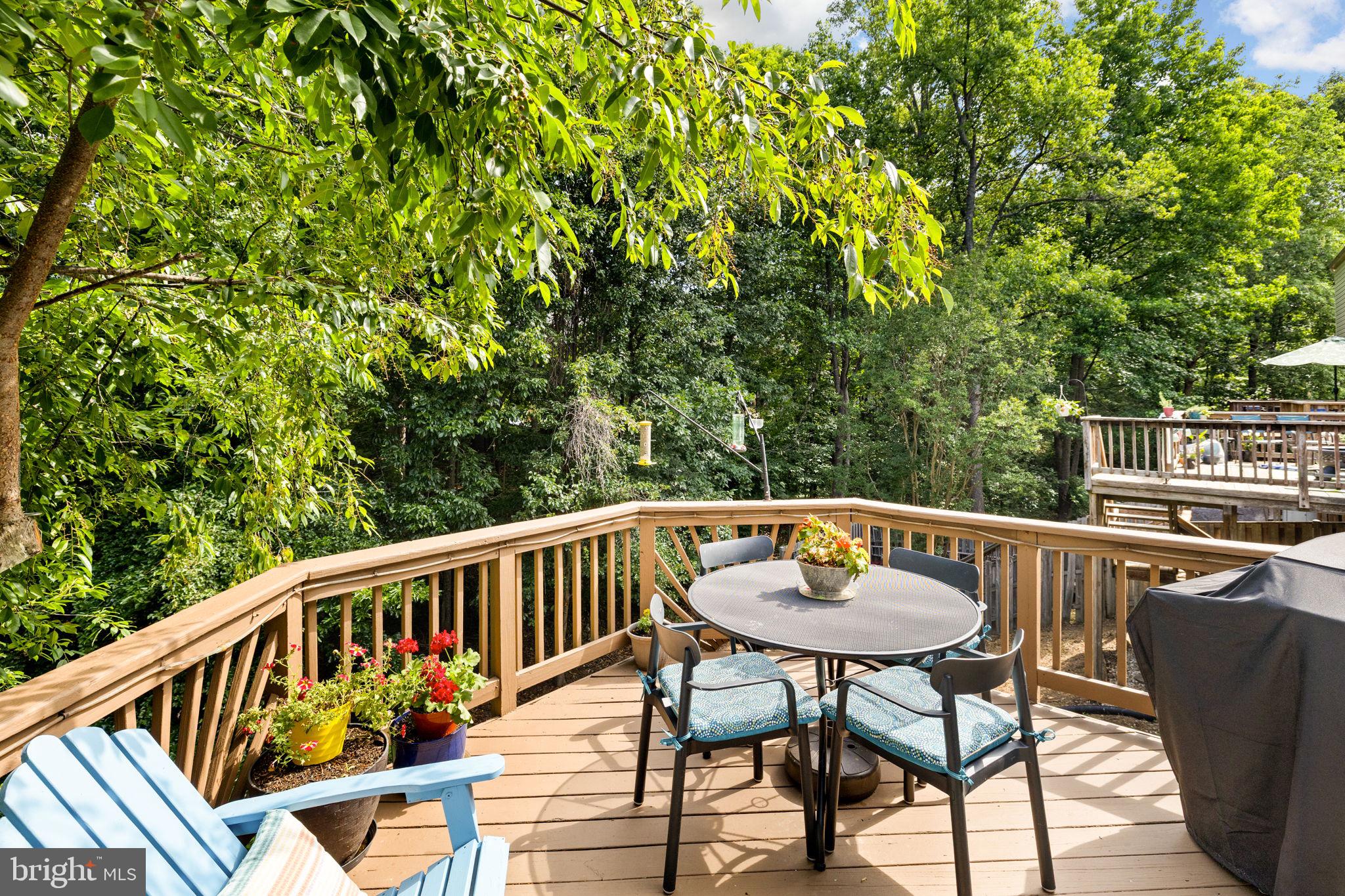 DOMINION FOREST - Residential