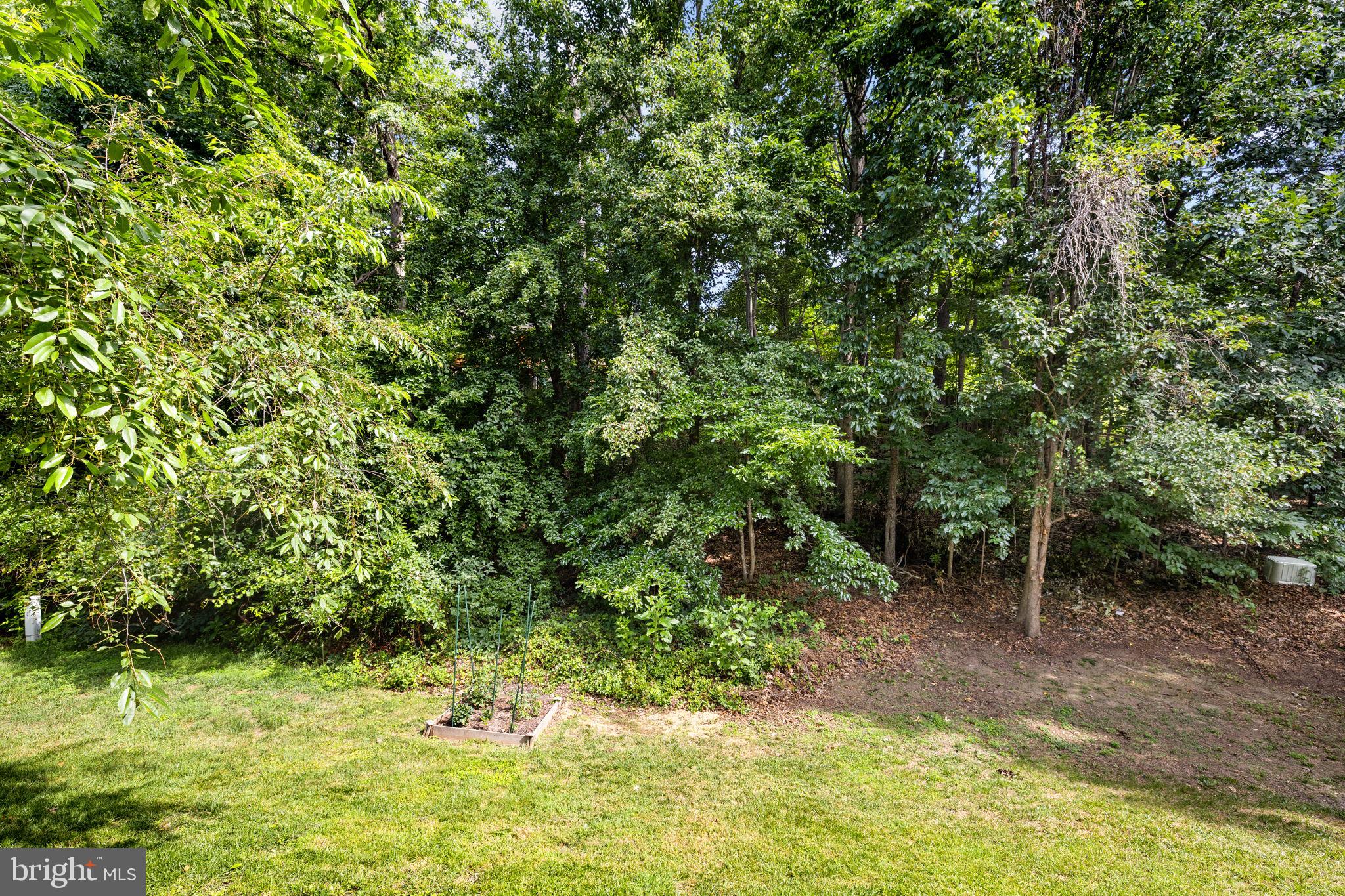 DOMINION FOREST - Residential