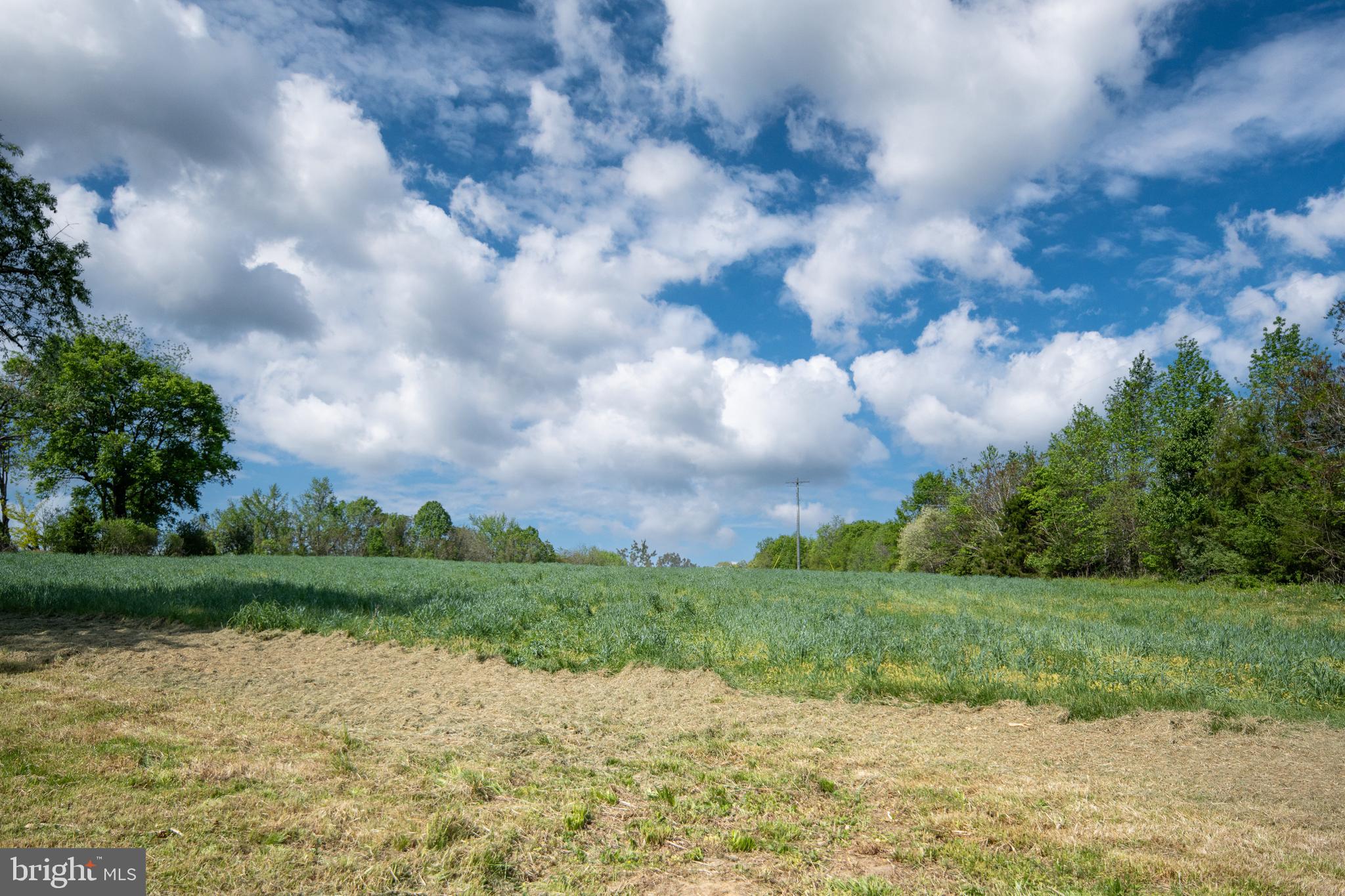 UNION RIDGE - Farm