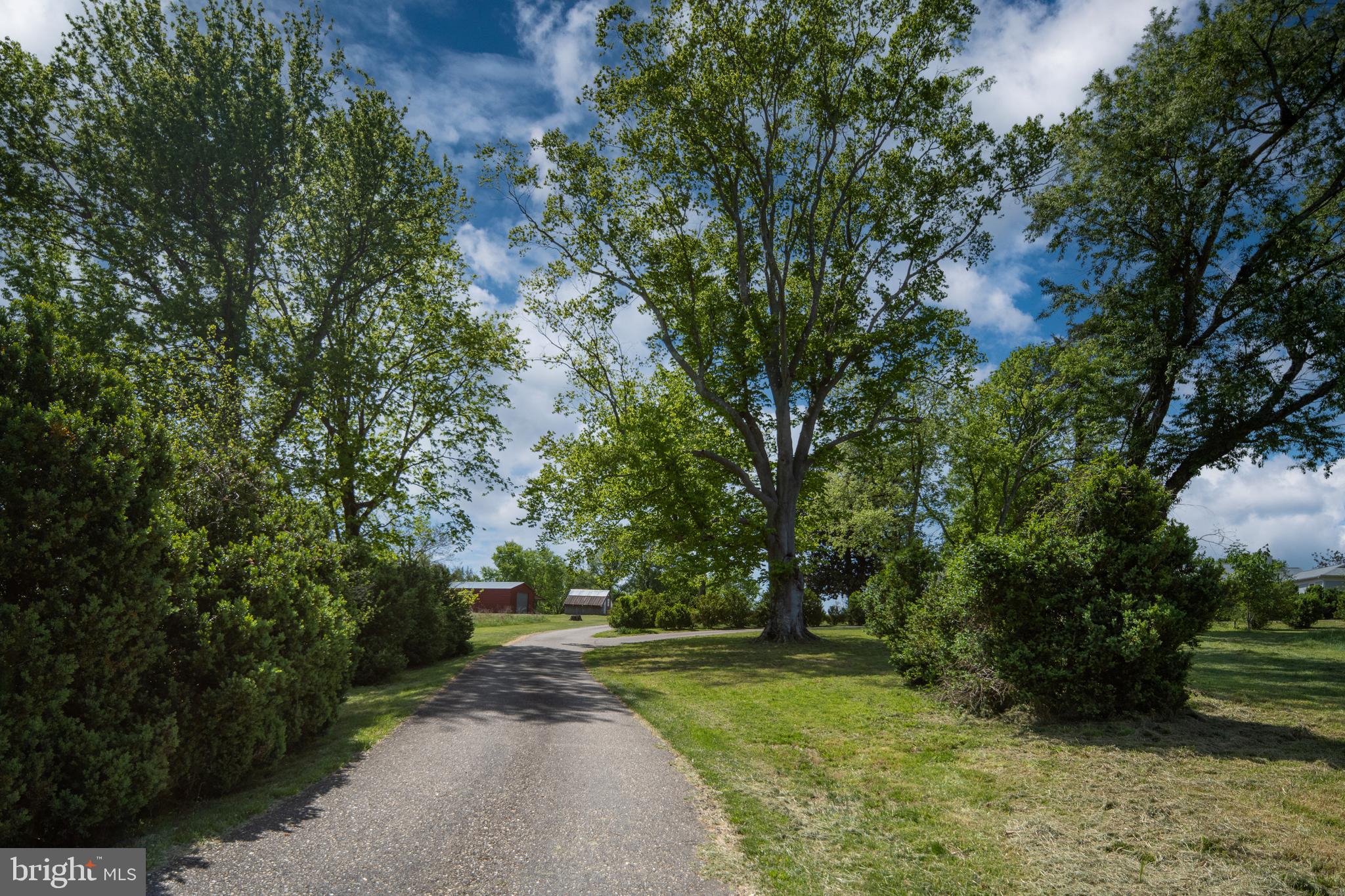 UNION RIDGE - Farm