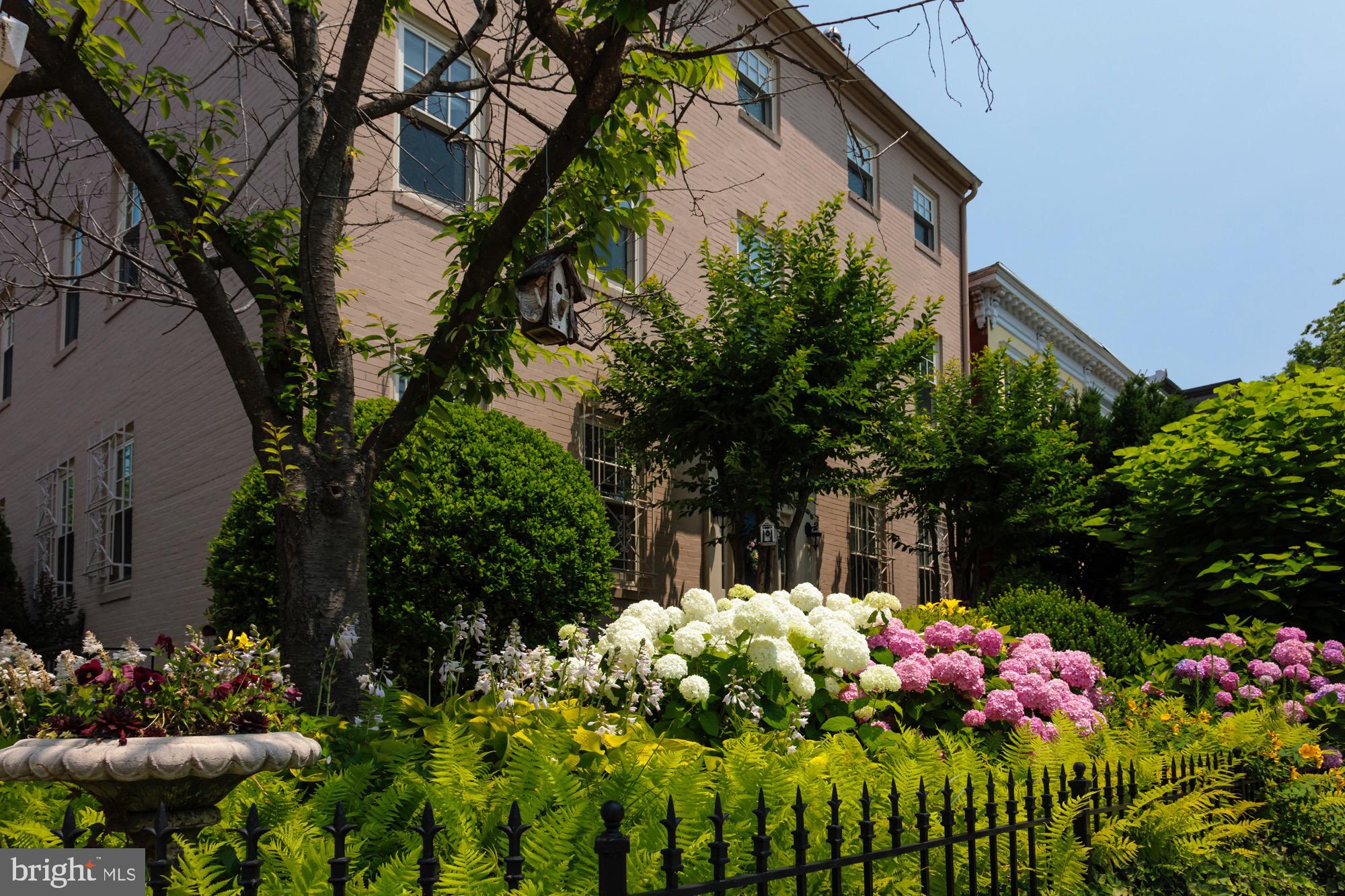 CAPITOL HILL - Residential