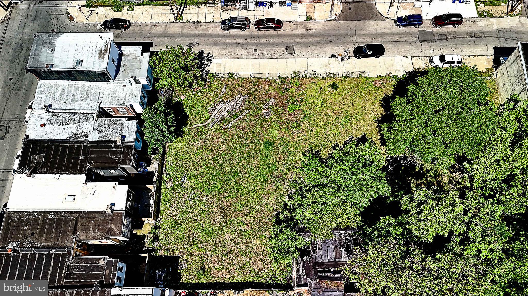 STRAWBERRY MANSION - Land