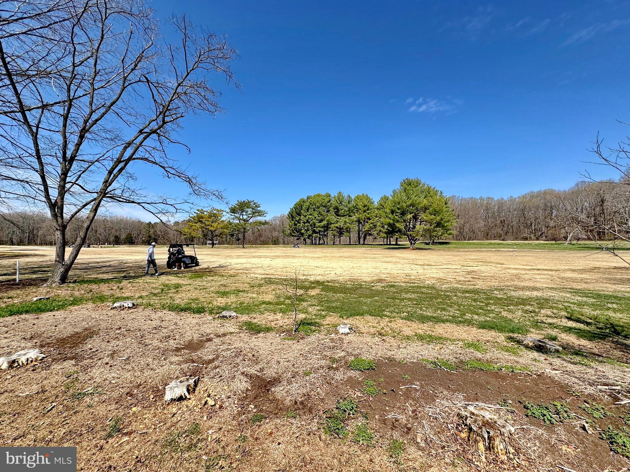 WICOMICO SHORES - Residential