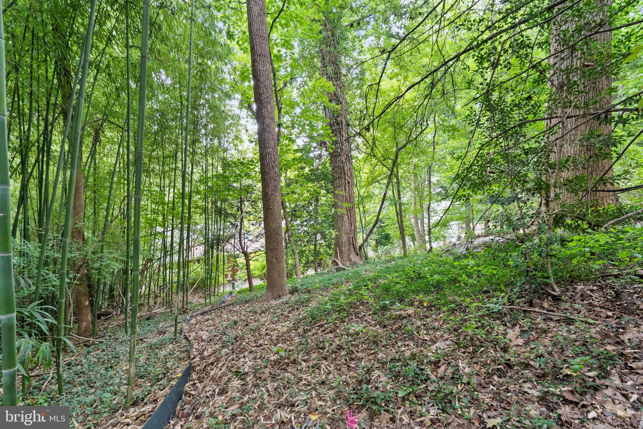 FLINT HILL - Land