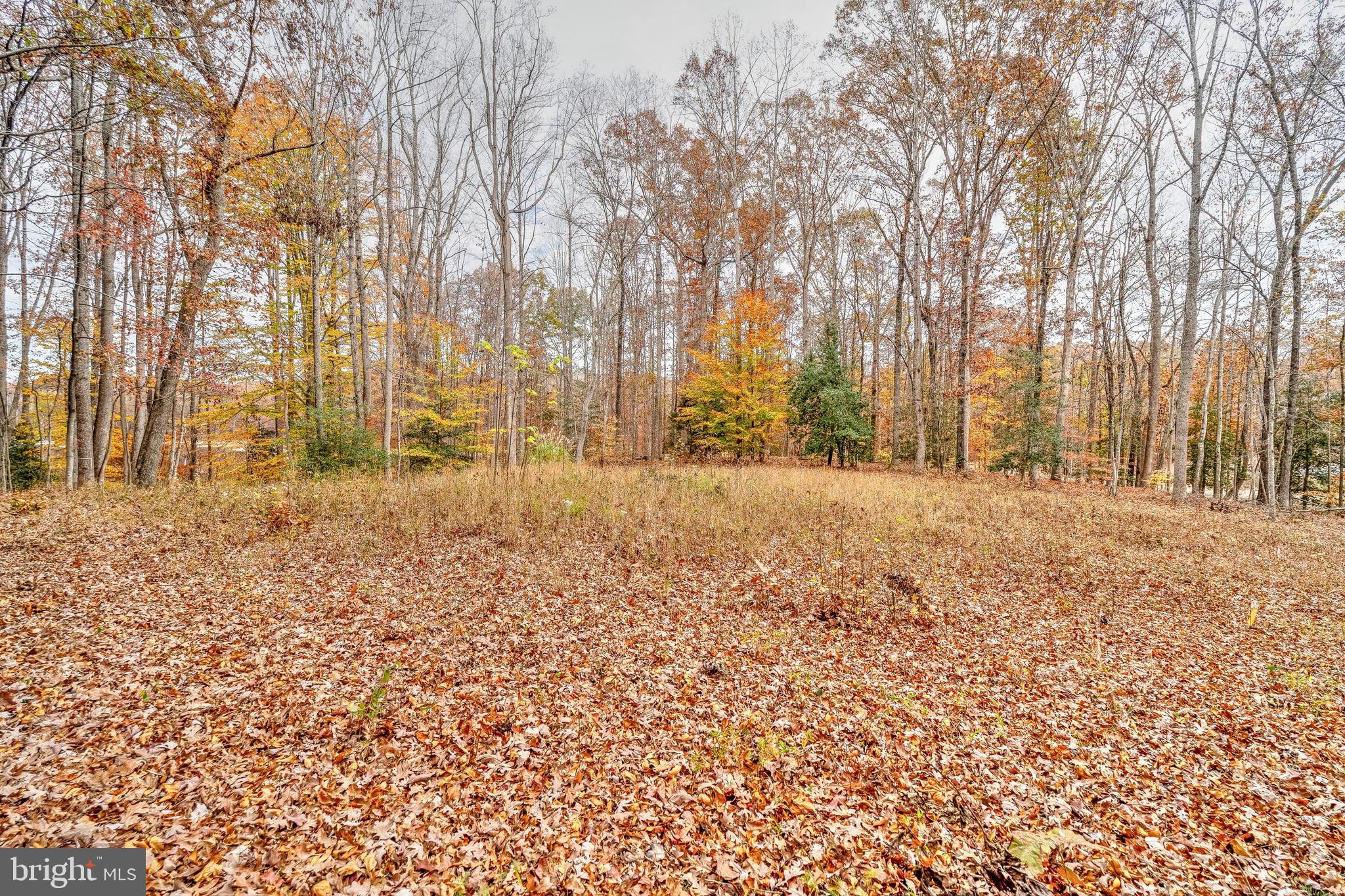 MINERAL SPRINGS PLANTATION - Land