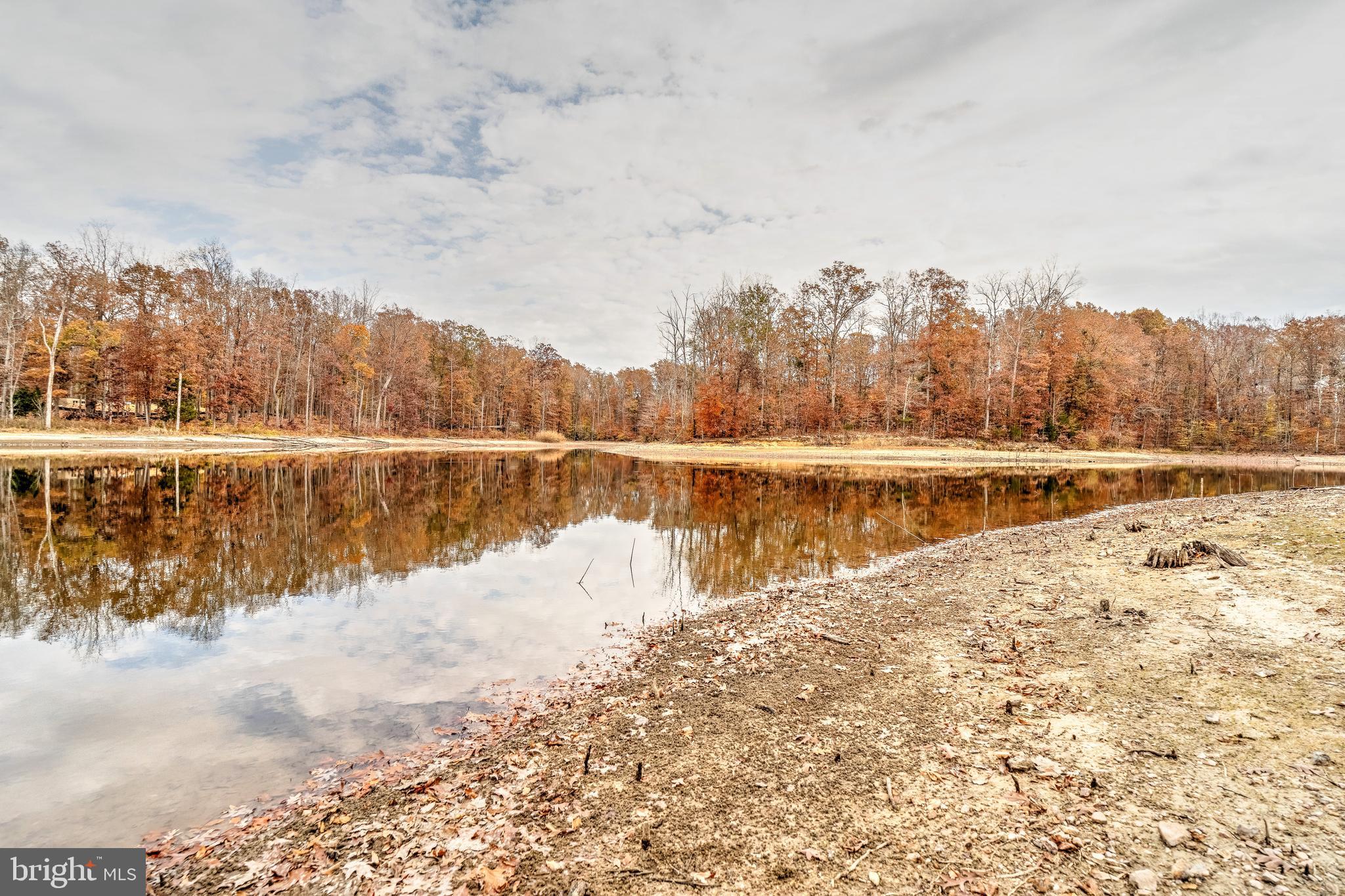 MINERAL SPRINGS PLANTATION - Land