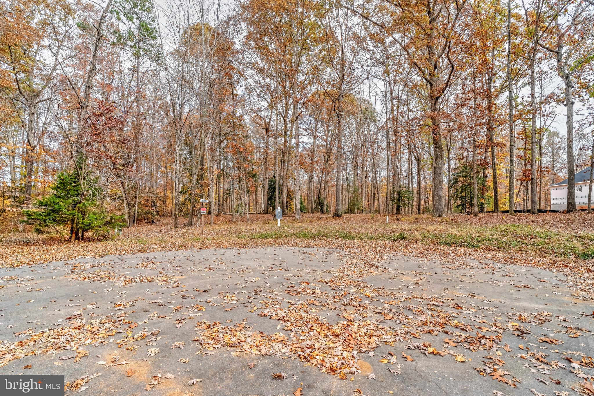 MINERAL SPRINGS PLANTATION - Land