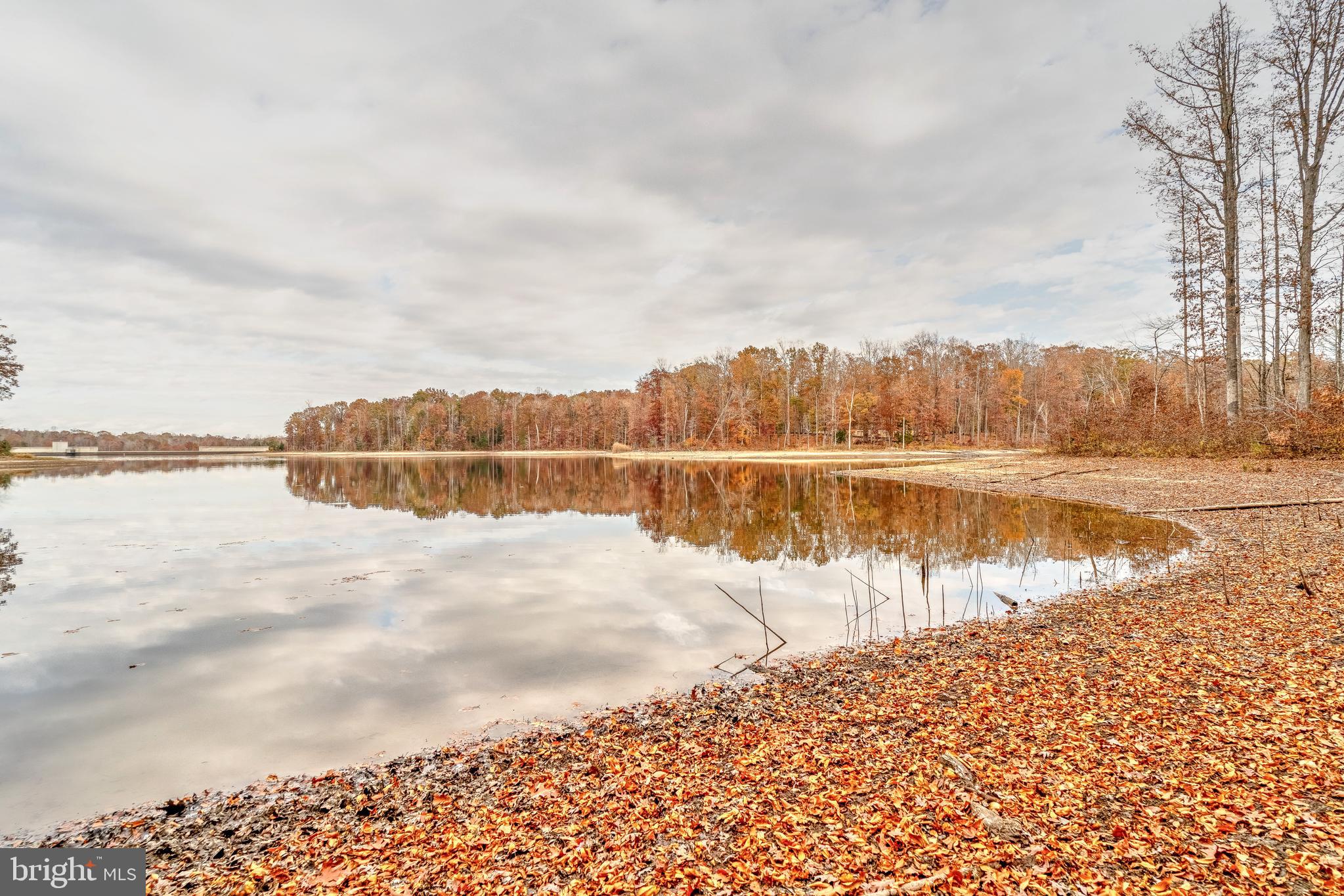 Prime Waterfront Lot in Desirable Location -- 3.6 acre lot with 475+  water frontage in prestigious Mineral Springs Plantation  community.   A unique chance to build your dream home on this premium waterfront lot, located in one of the area’s most sought-after communities. This expansive property offers  breathtaking views, and unmatched serenity, providing the perfect setting for a luxurious retreat or year-round residence.  Unbeatable Location -- Nestled in a highly coveted neighborhood, known for its upscale homes and peaceful ambiance, this property provides a balance of privacy and proximity to amenities. The community is located near the heart of Old Town Fredericksburg, close to I-95  for commuting to Washington DC or Richmond, close to  VA Rail Commuter and Amtrak Station.  Fredericksburg boasts a variety of grocery stores, restaurants, specialty shops and shopping centers.  Don't miss this opportunity to create your own oasis!