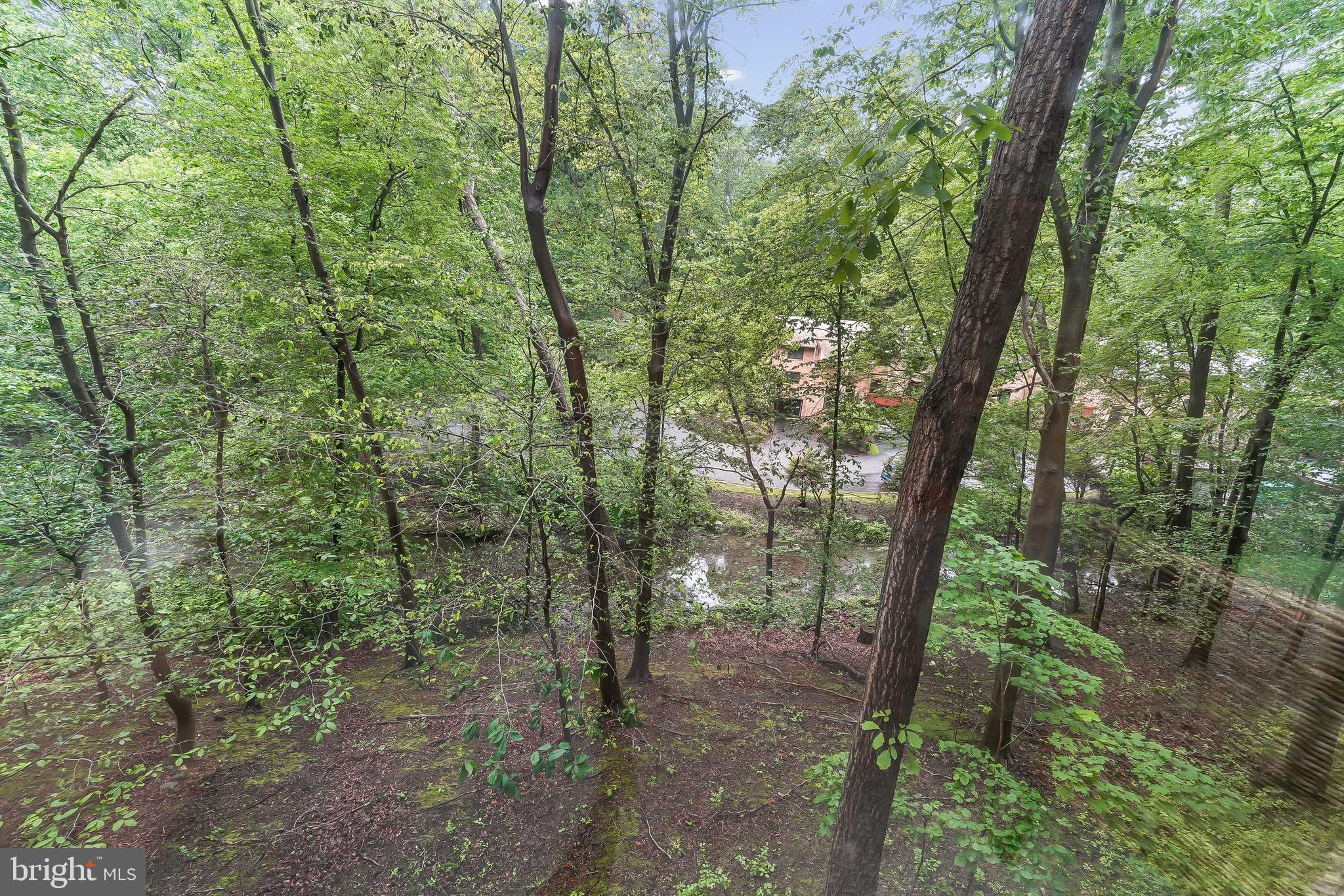 HICKORY HILL - Residential
