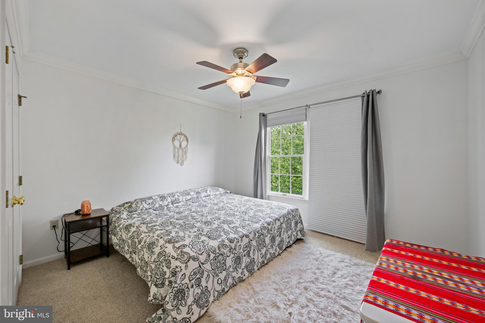 WHITTIER POND - Residential