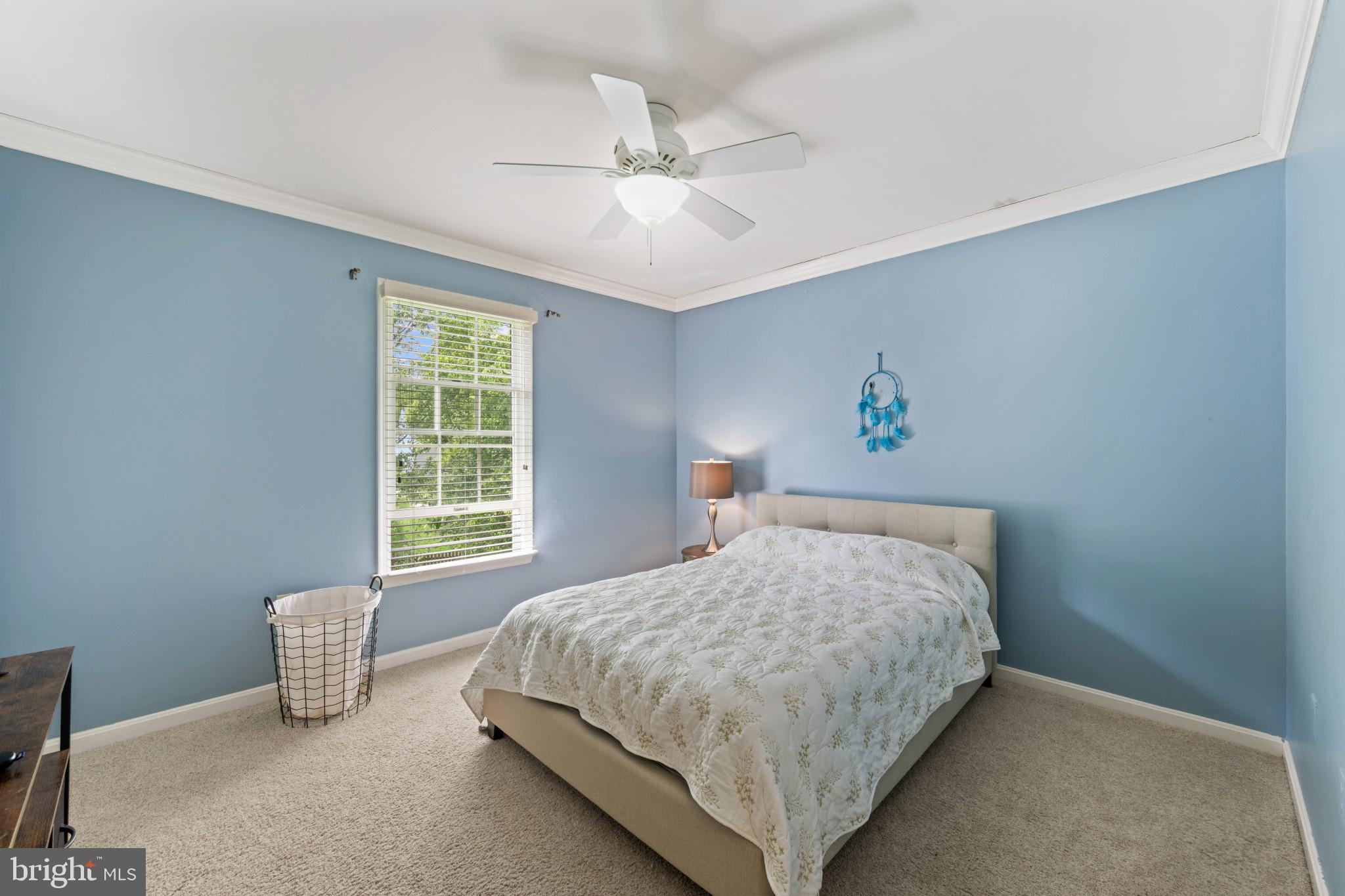 WHITTIER POND - Residential