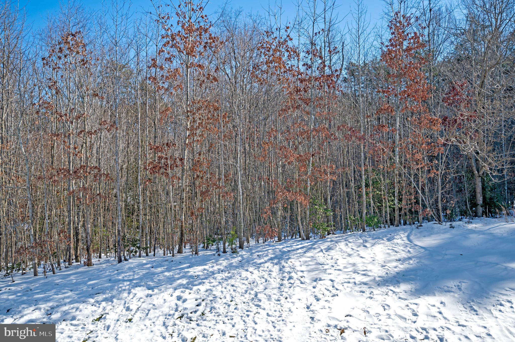 THE VILLAGE AT COURTHOUSE COMMONS - Residential Lease