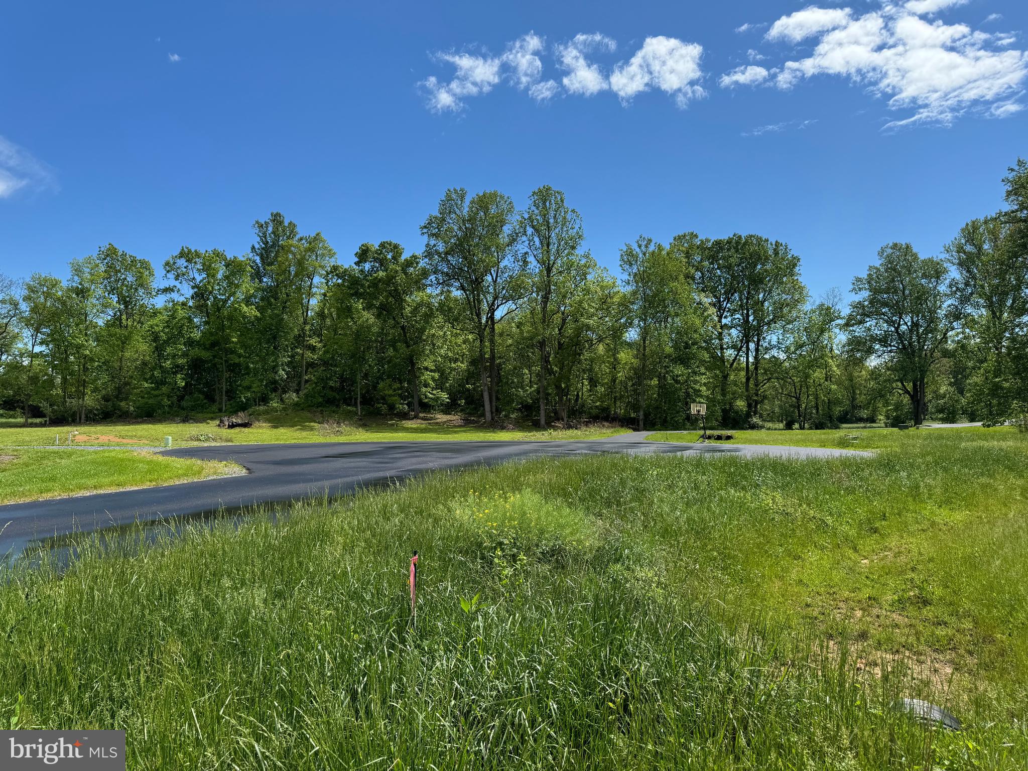 EVANS RUN - Land
