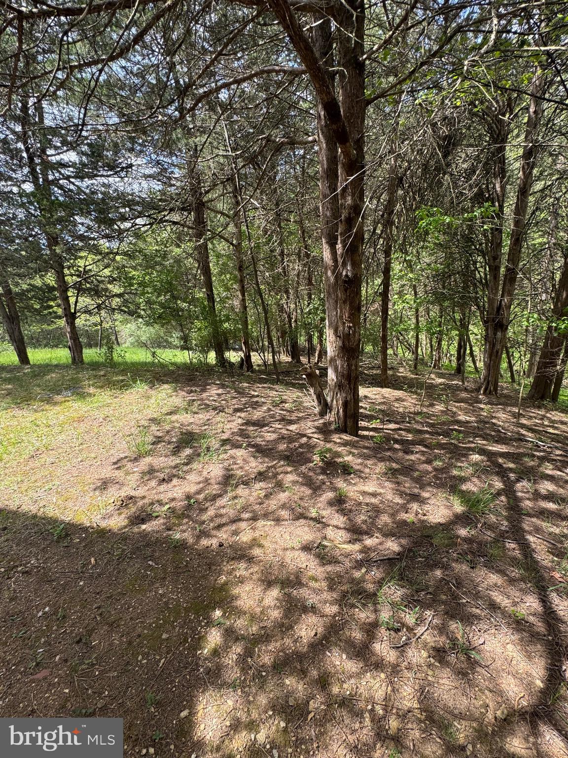 POCA BELLA FARM - Residential Lease