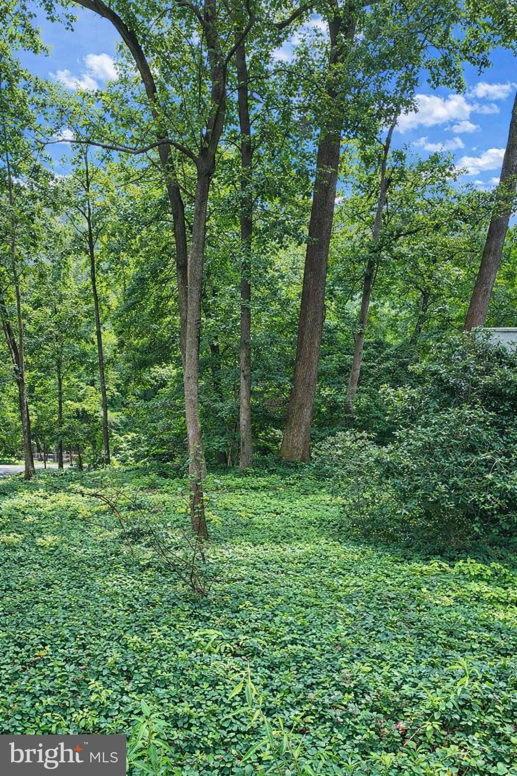 Must be purchased with 911 Sligo Creek Pkwy (adjacent lot), which is listed for sale for $450,000

🌳✨ Vacant Lot on Scenic Sligo Creek Parkway – Takoma Park, MD ✨🌳
Overview

Discover a rare land opportunity in Takoma Park, Maryland! 🌟 This lot sits along the iconic Sligo Creek Parkway — one of Montgomery County’s most picturesque and desirable corridors. With park-like surroundings, mature trees, and direct access to Sligo Creek Trail, this property offers the perfect blend of nature, convenience, and community living. 🌿🚴‍♀️

📍 Location, Location, Location!

🌳 Sligo Creek Park & Trail at your doorstep — miles of walking, biking, and running trails that wind through woodlands and connect to regional parks.

🚆 Minutes to Takoma Metro (Red Line) and Silver Spring Transit Center for quick access into Washington, D.C.

🛍️ Close to downtown Silver Spring & Takoma Park — with award-winning restaurants, coffee shops, boutiques, live music venues, and a famous farmers market.

🏫 Served by highly regarded Montgomery County Public Schools including Piney Branch Elementary, Takoma Park Middle, and Montgomery Blair High School.

🖼️ Enjoy Takoma Park’s vibrant arts scene, festivals, and community events, all while living in a quiet, tree-lined setting.

🌟 Property Highlights

Utilities: Public water & sewer available 🚰

Setting: Park-like, wooded lot with a private feel 🌲

Bundle Required: Add the adjacent property at 911 Sligo Creek Parkway for an additional $450,000 - Total $550,000 🏡—create a larger estate-style retreat with unmatched outdoor space!

💡 Why Buyers Love This Area

✅ Scenic & peaceful – live among trees and trails
✅ Urban convenience – minutes to Metro, shops, & dining
✅ Outdoor lifestyle – jog, bike, or walk along Sligo Creek every day
✅ Charming community – Takoma Park’s friendly, artistic, and historic vibe
✅ Rare opportunity – land along Sligo Creek Parkway doesn’t come available often!

🌟 Perfect For

🏡 Buyers who want land ownership in Takoma Park

🌿 Those dreaming of a private green retreat

🔑 Investors looking for rare land opportunities in a high-demand location

🏞️ Homeowners who want to expand their estate by bundling with 911 Sligo Creek Parkway

🔥 Don’t miss this chance to own land along Sligo Creek Parkway — whether as a peaceful retreat, investment, or bundled with the adjacent home for something truly special.