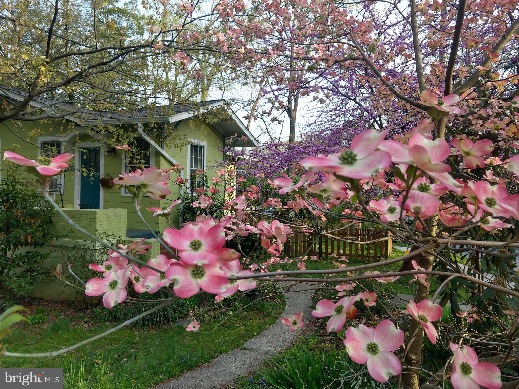 TAKOMA PARK - Residential