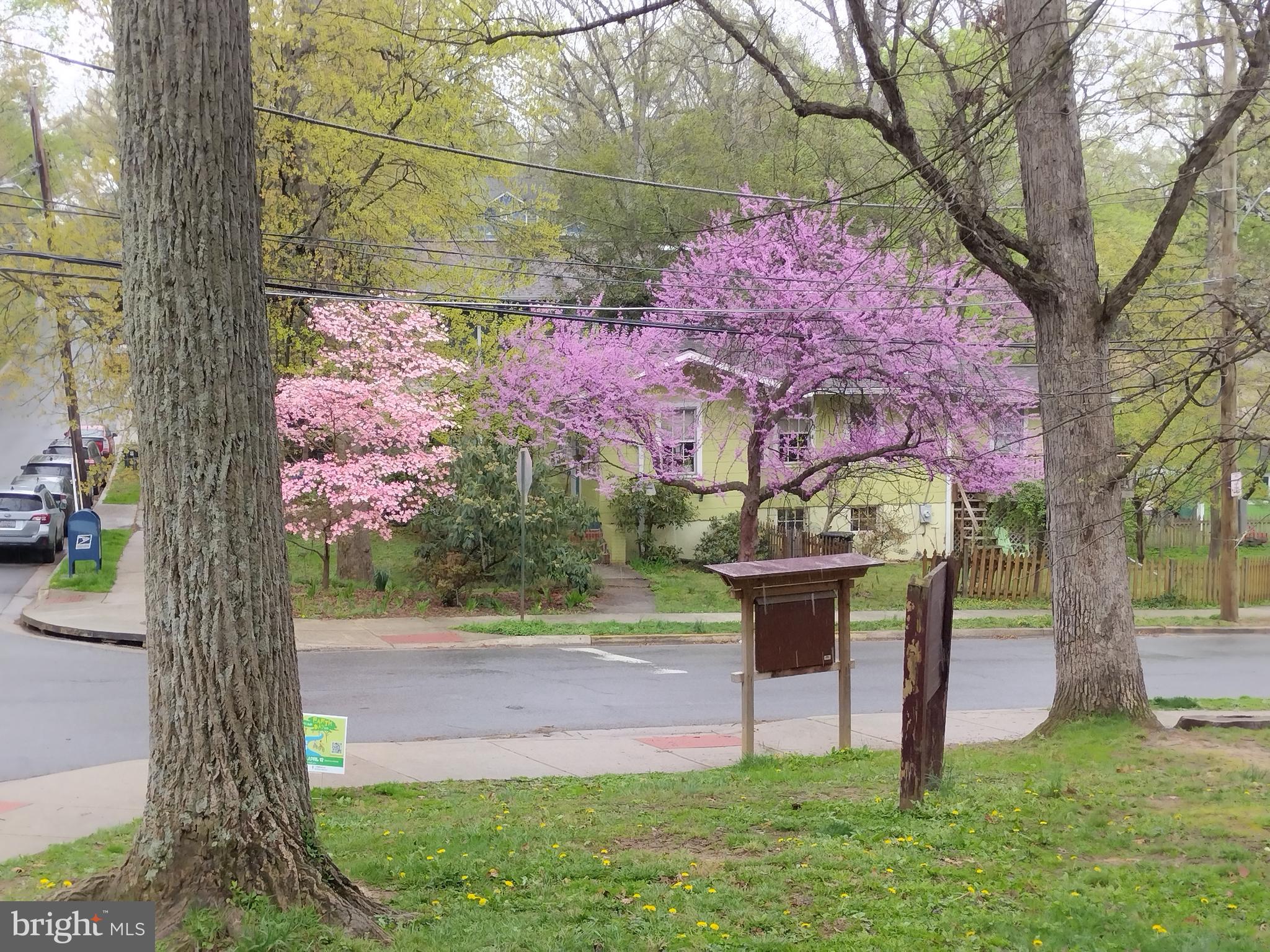 TAKOMA PARK - Residential