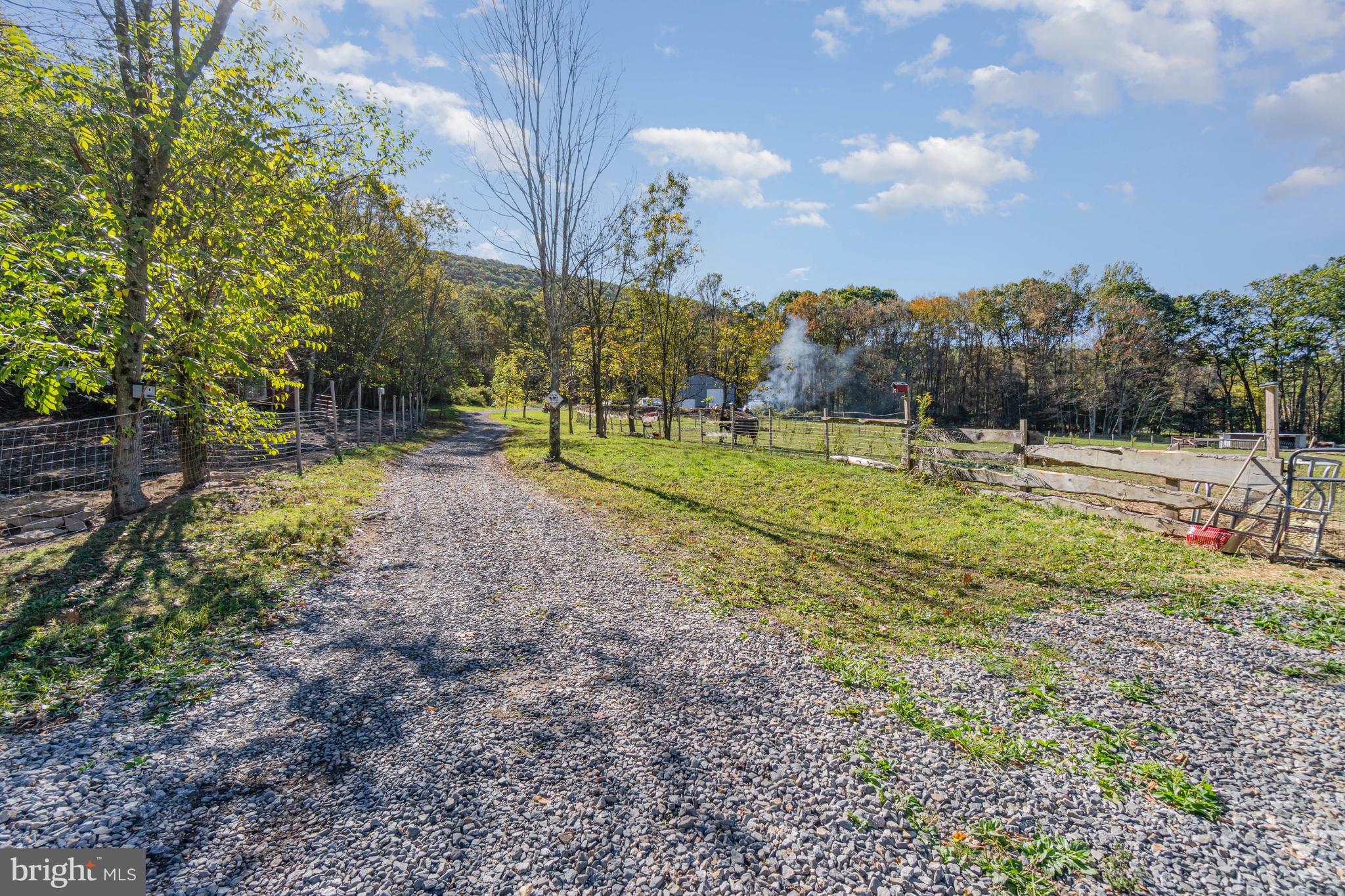 Discover an exceptional opportunity to step directly into a turnkey homestead lifestyle on 7.3 serene acres in Ashland, Pennsylvania. Positioned atop gentle, rolling terrain with panoramic mountain views, this property offers a rare blend of open land, established agricultural systems, and fully approved residential development plans—creating the perfect foundation for self-sufficiency, hobby farming, or a private rural retreat.

Designed and cultivated with long-term sustainability in mind, the property currently supports a thriving poultry operation of approximately 300 free-range chickens producing roughly 100 dozen eggs per week, with significant space to scale toward a larger operation. Complementing the poultry are young beef cattle, a protective Maremma sheepdog, a donkey, and a miniature horse, all of which can convey with the sale to maintain continuity of care and operations.

An expanding orchard—featuring apple, pear, plum, and peach trees—is already established, supported by an impressive water-collection system capable of storing 1,200 gallons for irrigation. The land has been professionally surveyed, clearly marked every 100 feet, and includes approved septic and perk tests, along with fully engineered and approved architectural plans for a 2,500 sq ft custom ranch-style home to be built adjacent to the existing barn.

A future owner can proceed immediately with construction, as the property qualifies for a construction loan, and all essential groundwork has been completed. Solar integration was planned for both the home and barn, offering a blueprint for a true off-grid lifestyle.

Additional features include:
• Full lineup of farm tractors, implements, and equipment for continued operation
• A large wood boiler and significant stockpile of split firewood
• A 2017, 32-ft camper, currently used for egg washing and onsite utility functions
• Ample open acreage for expansion, rotational grazing, additional crops, or new outbuildings

The current owner is willing to provide a transition period to train and familiarize the new stewards with all systems, equipment, and animals—ensuring a seamless handoff of this carefully developed homestead.

This offering is far more than land—it’s a fully realized starting point for someone’s rural dream, complete with infrastructure, approvals, and the irreplaceable beauty of wide-open skies and mountain vistas. The canvas is prepared, the groundwork is done, and the vision is ready for its next chapter.

Welcome to Homestead Heaven.