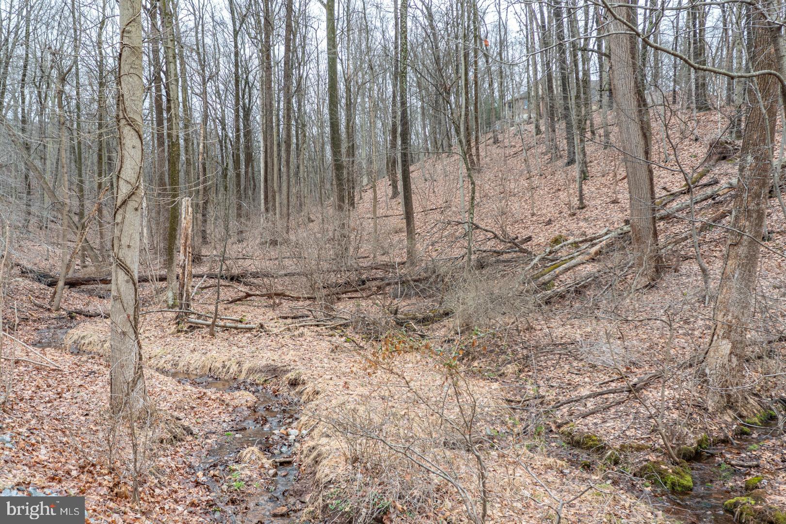 Discover the perfect setting for your dream home on this 2.17 acre wooded building lot in the desirable Hidden Pond Community. The property features gently sloping terrain, mature trees, and a scenic creek that adds to the natural beauty and privacy of the land. The lot was previously tested for an in-ground septic system, however; updated testing will be required. Enjoy the peaceful natural surroundings while remaining conveniently close to shopping, dining, and major highways. A rare opportunity to build in a scenic and established neighborhood.