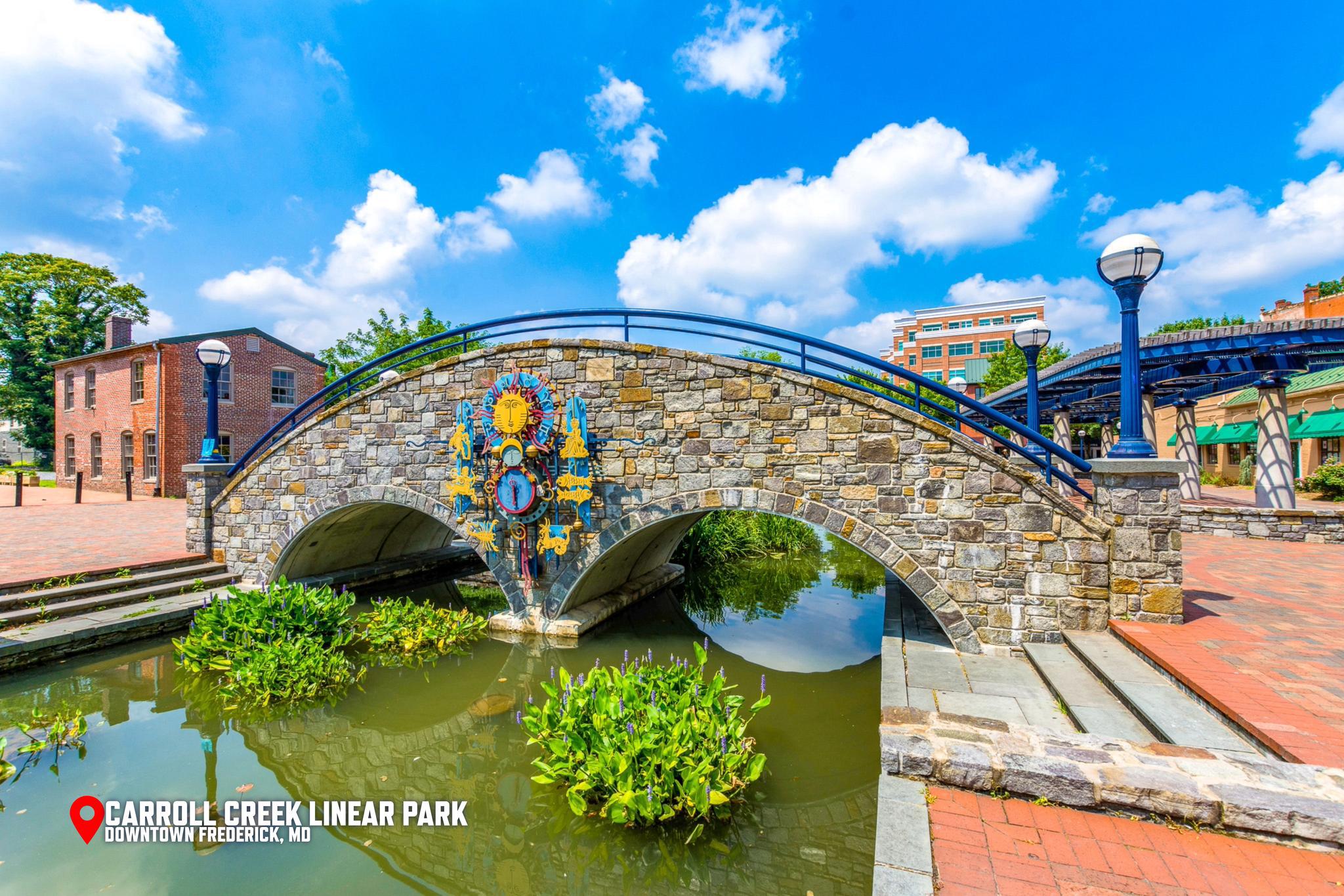 DOWNTOWN FREDERICK - Residential