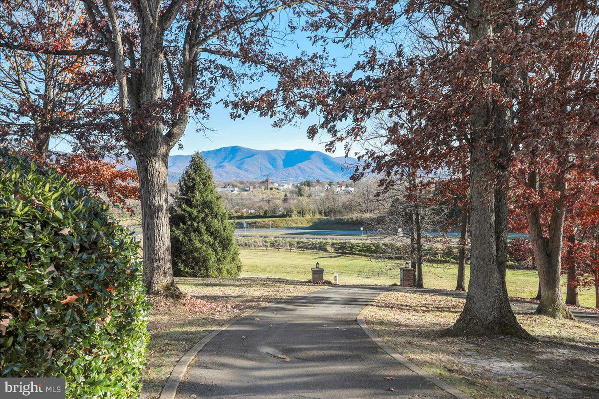 LURAY - Residential