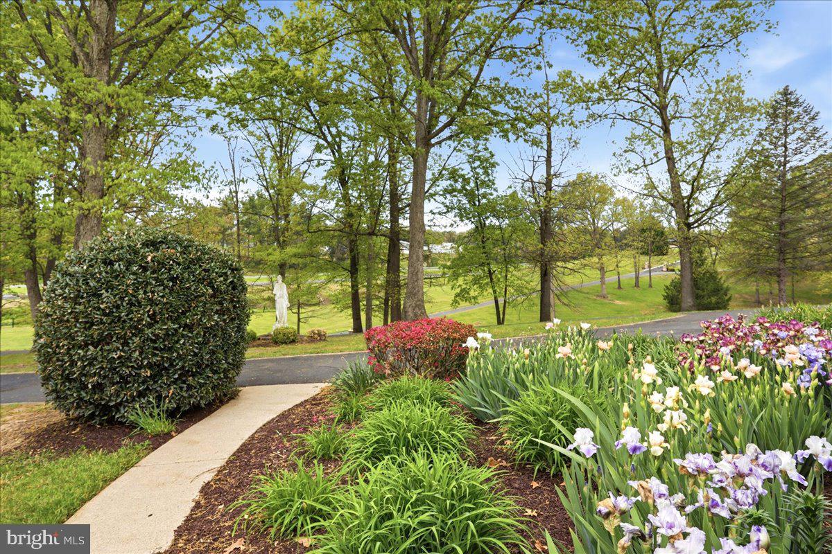 LURAY - Residential