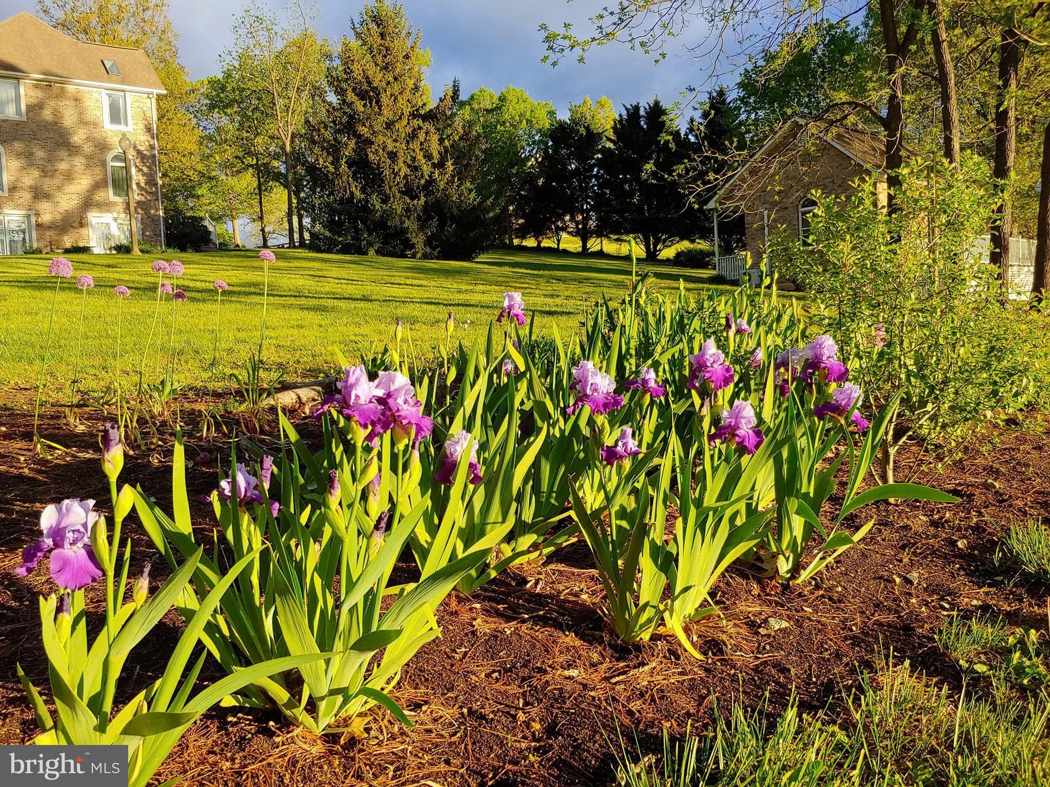 LURAY - Residential