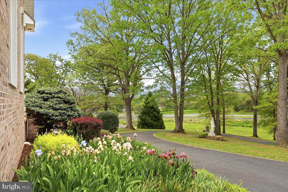 LURAY - Residential